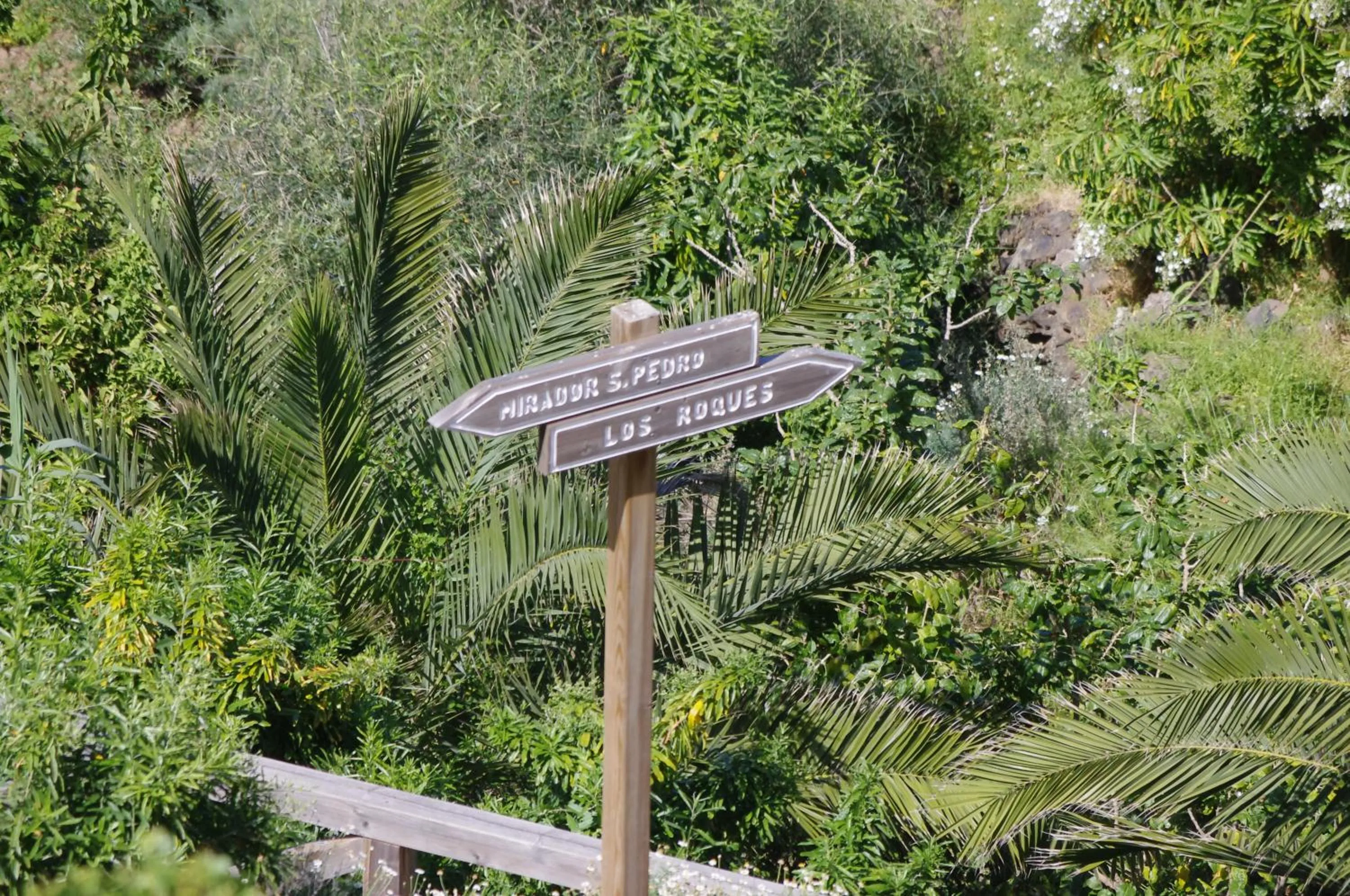 Activities in Apartamentos Playa de Los Roques