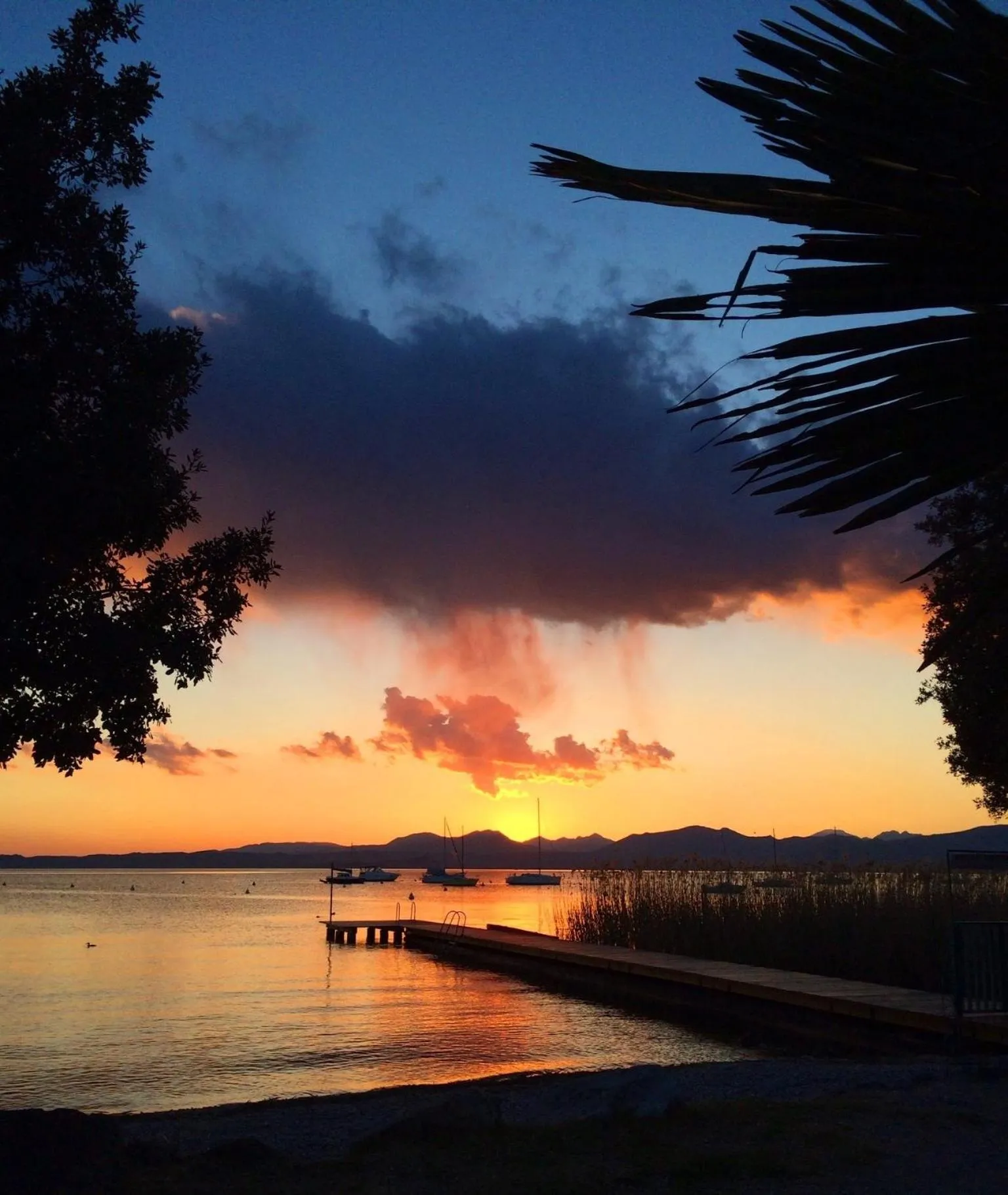 Other in Hotel Campagnola