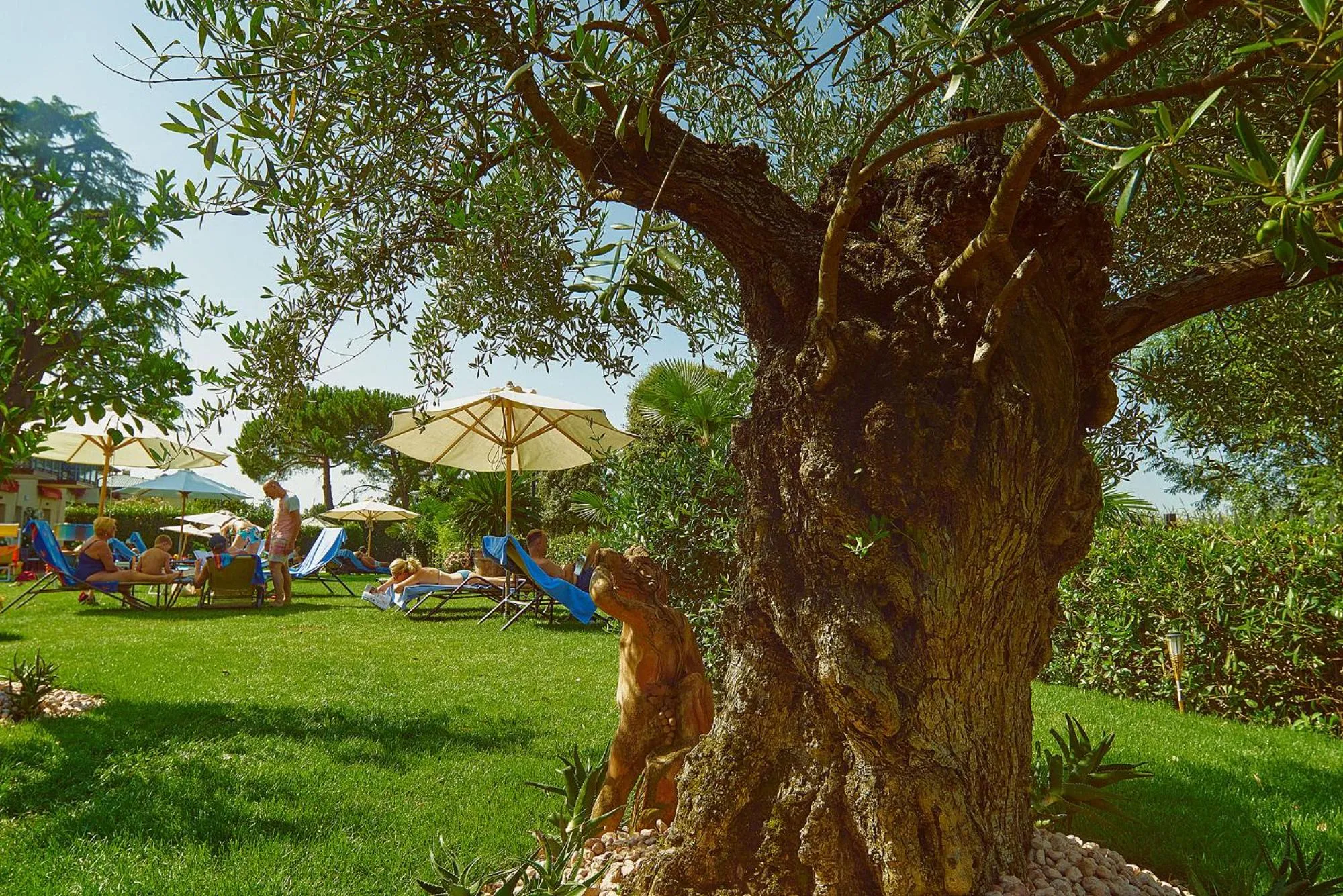 Garden view in Hotel Campagnola