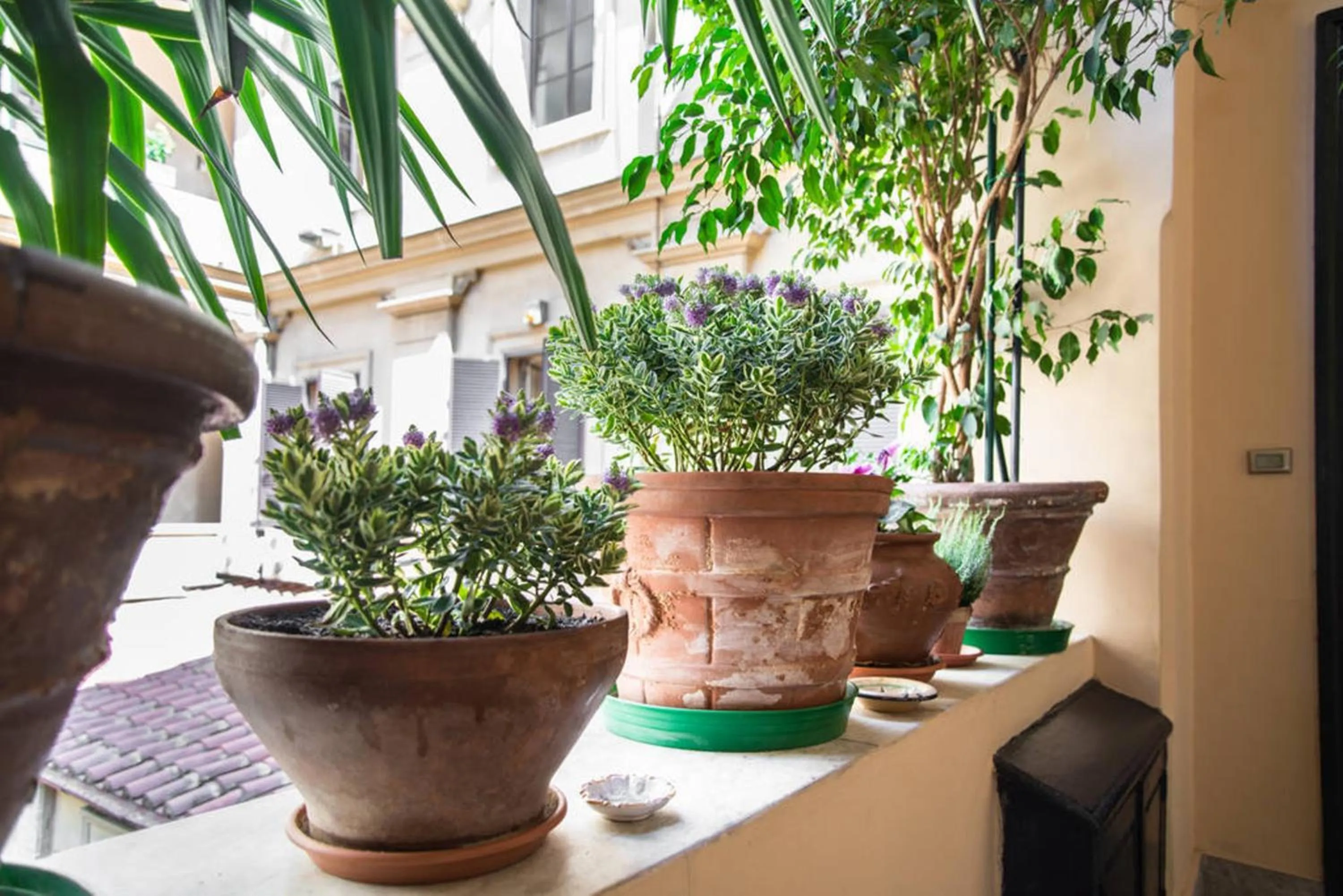 Patio in Be My Guest