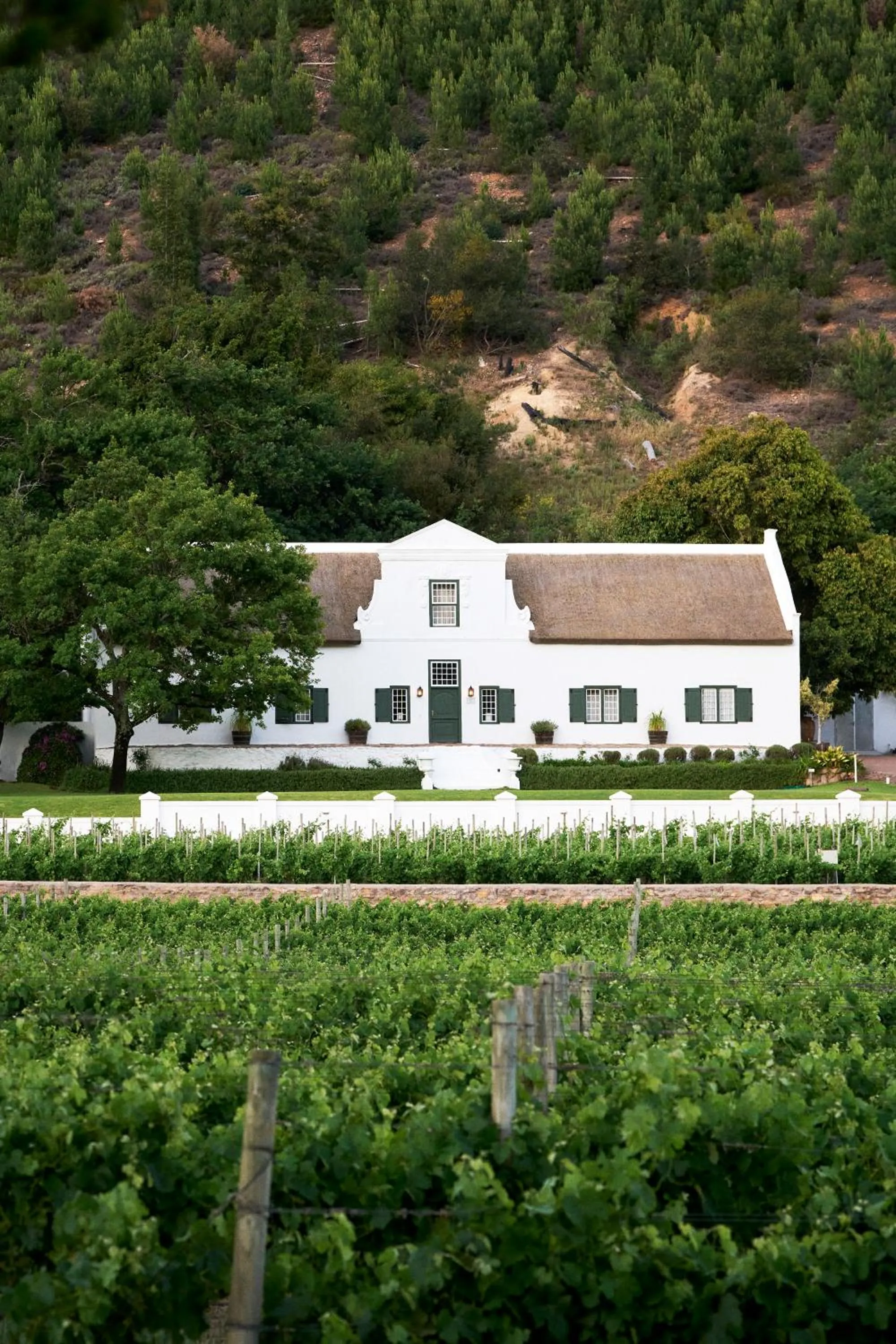 Property building in Basse Provence Country House