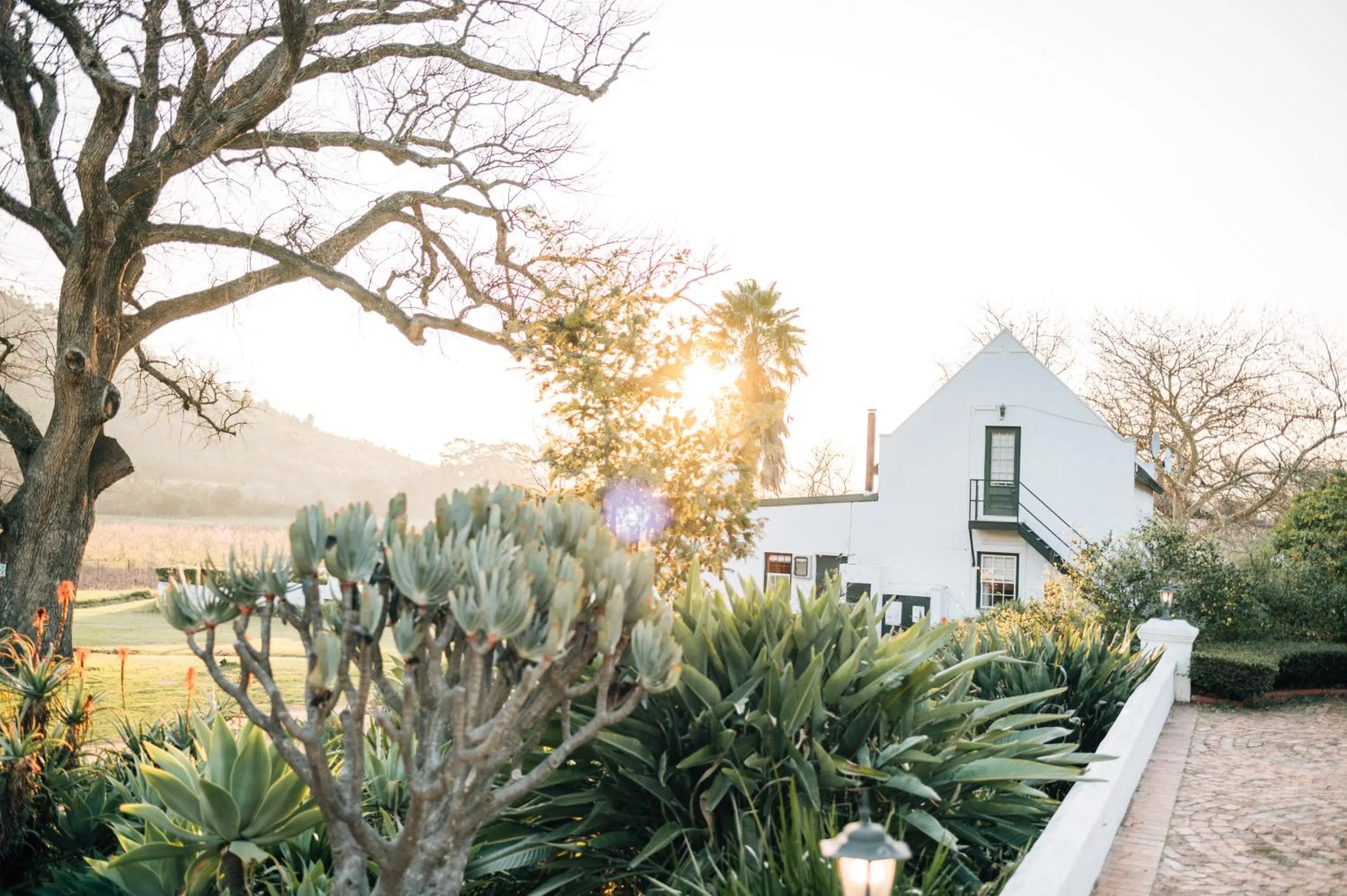 Property building in Basse Provence Country House