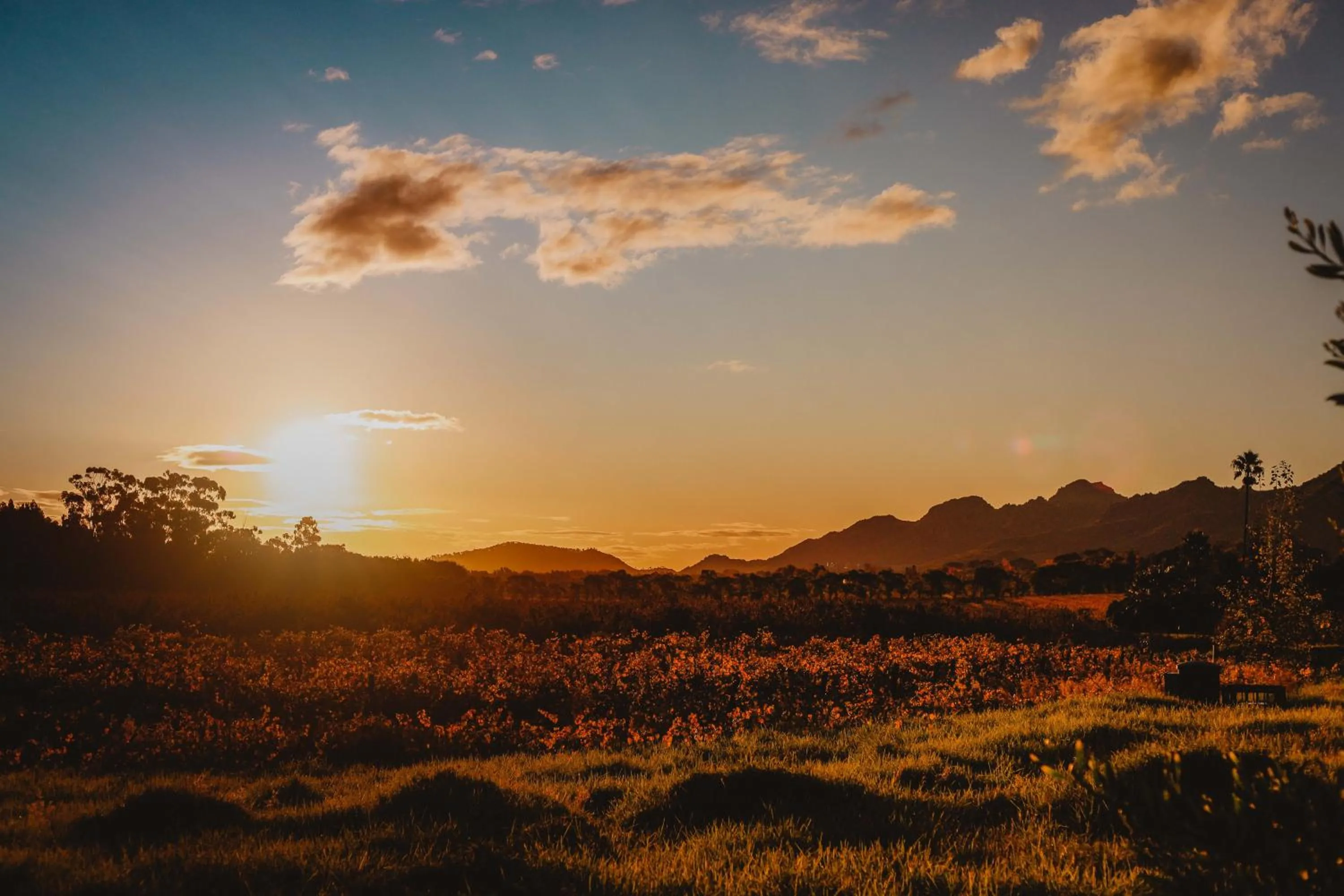 Bird's eye view in Basse Provence Country House