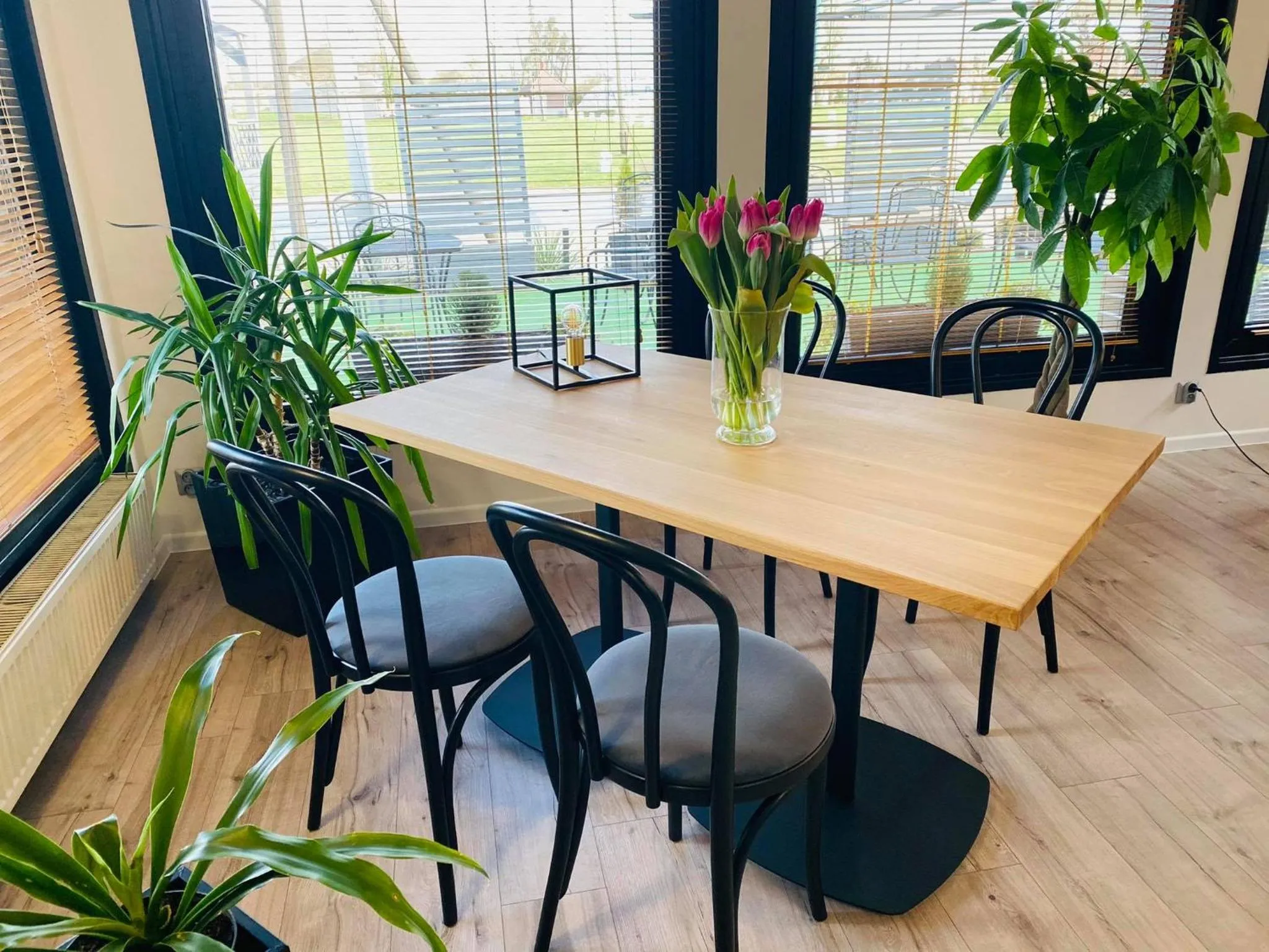 Hotel Astra Tajemniczy Ogród