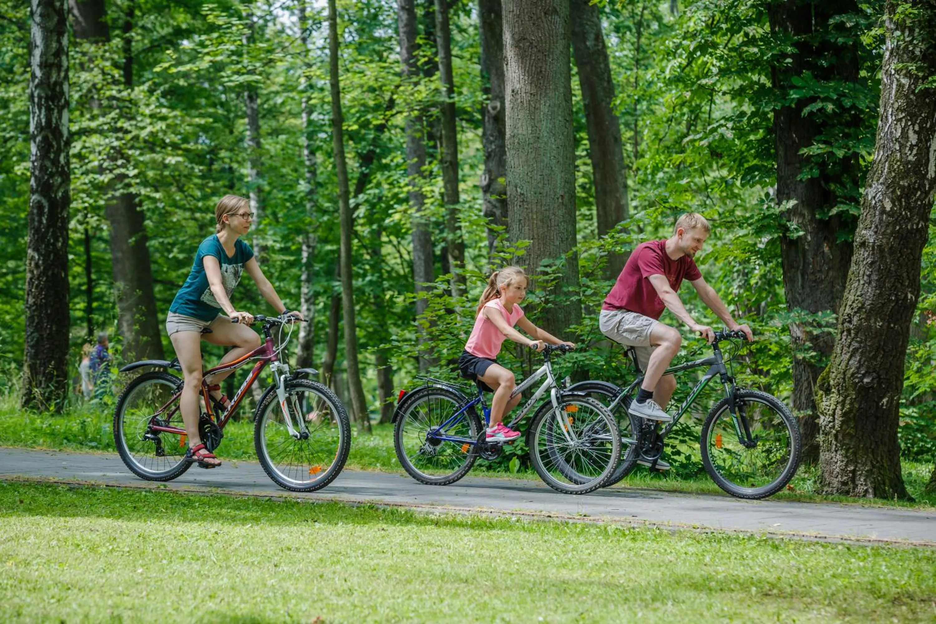 Neighbourhood in Hotel Wiosna