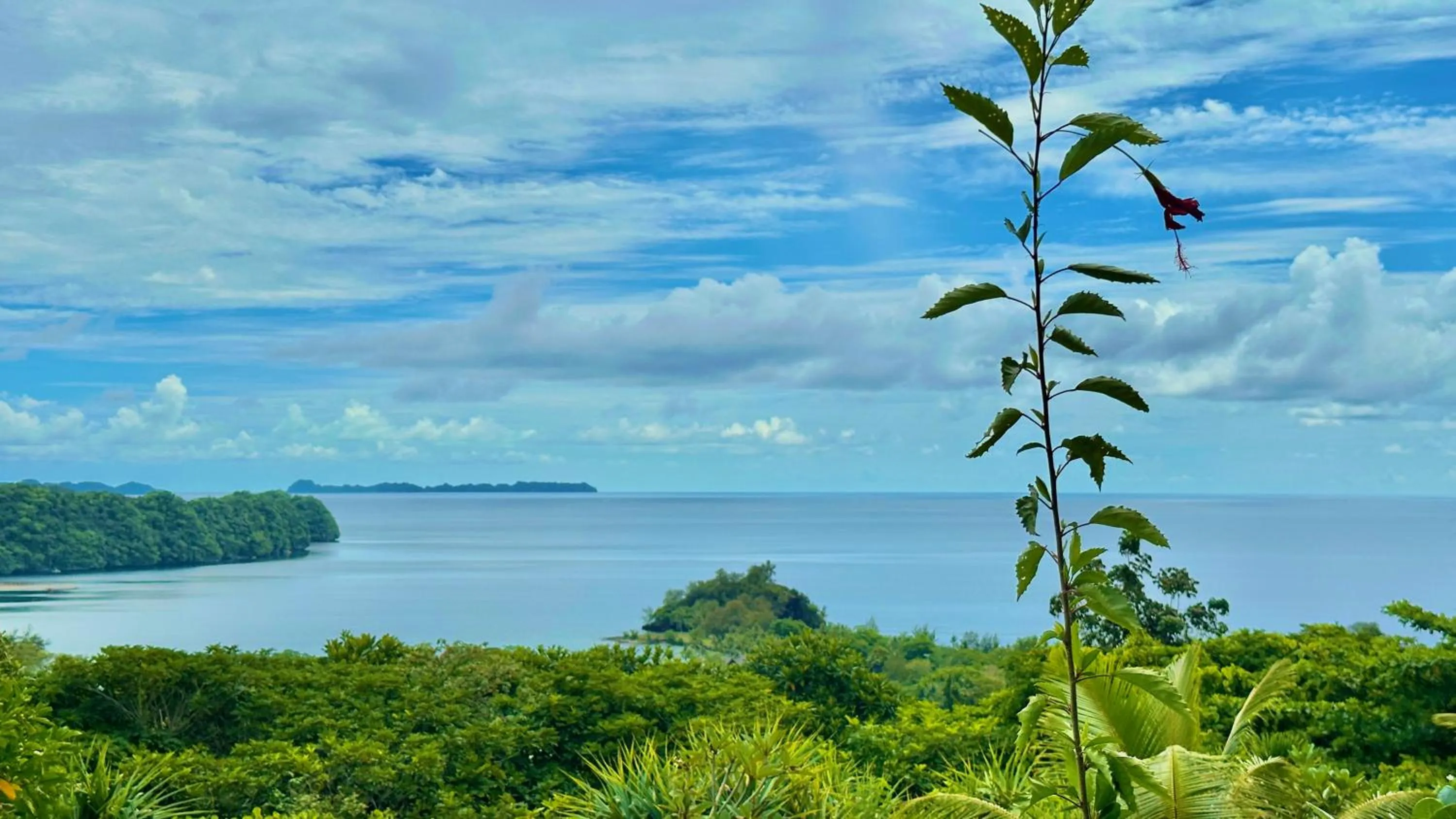Sea view in Palau Carolines Resort