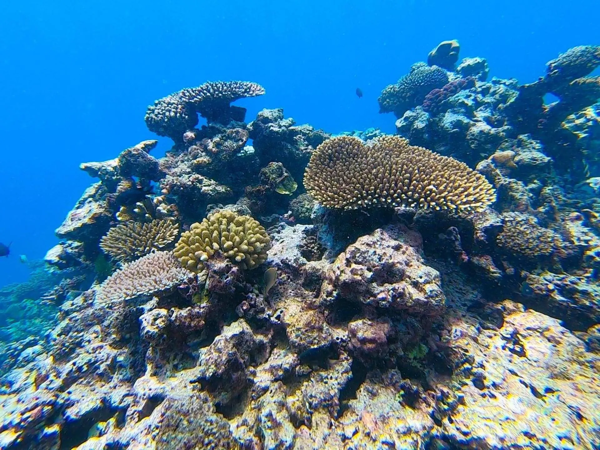 Natural landscape in Nasama Resort