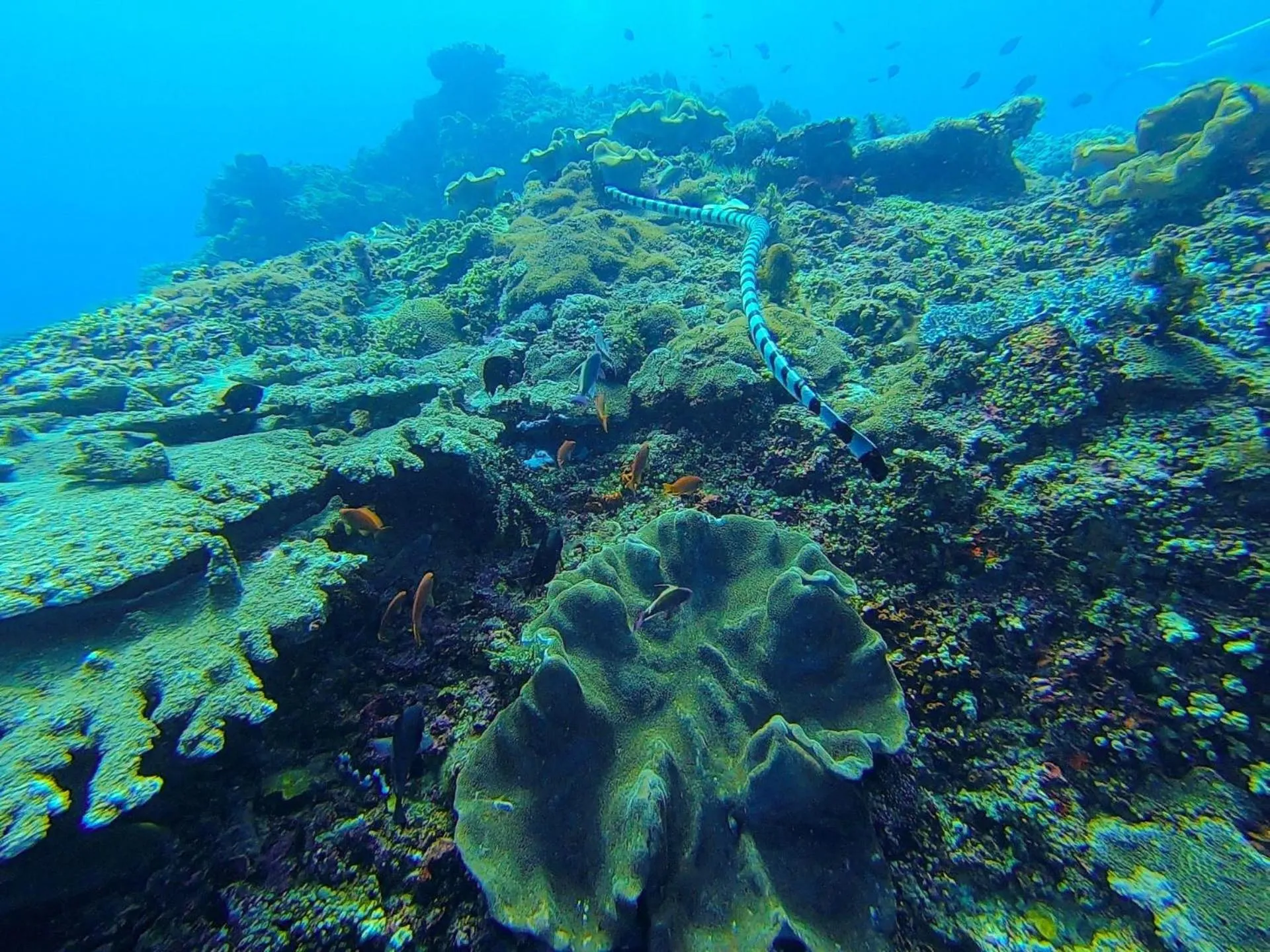 Natural landscape in Nasama Resort