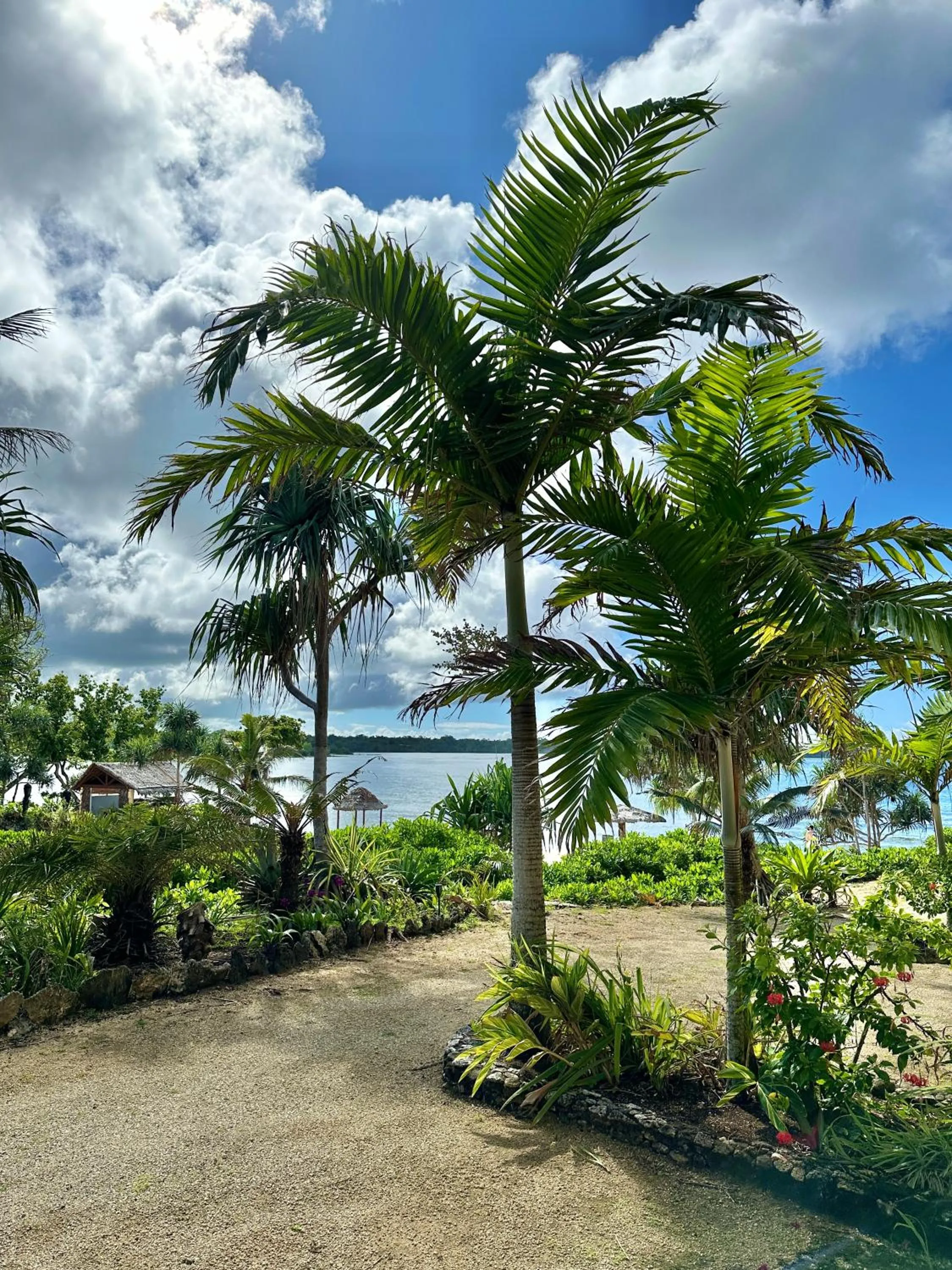 Garden view in Nasama Resort