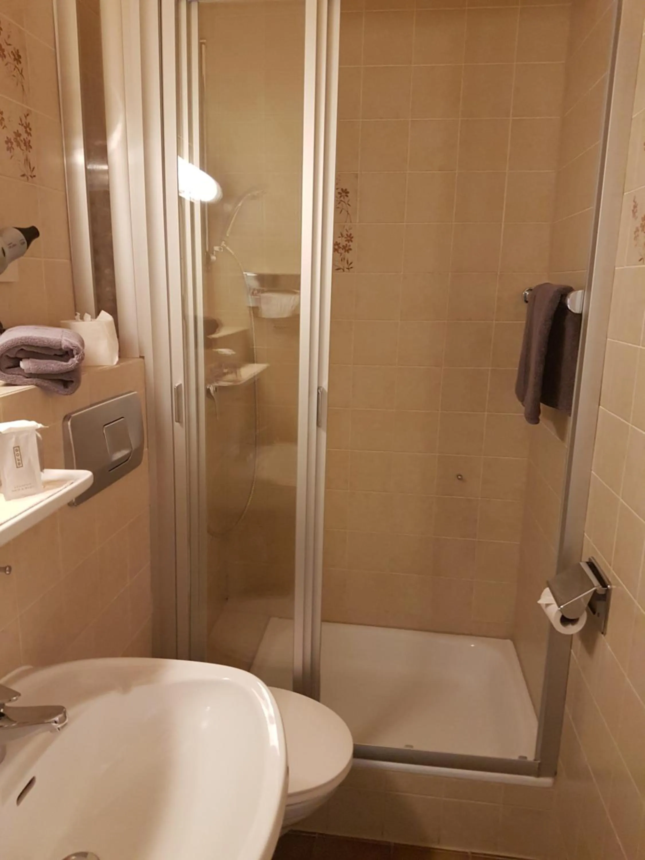 Bathroom in Kurhotel Roswitha