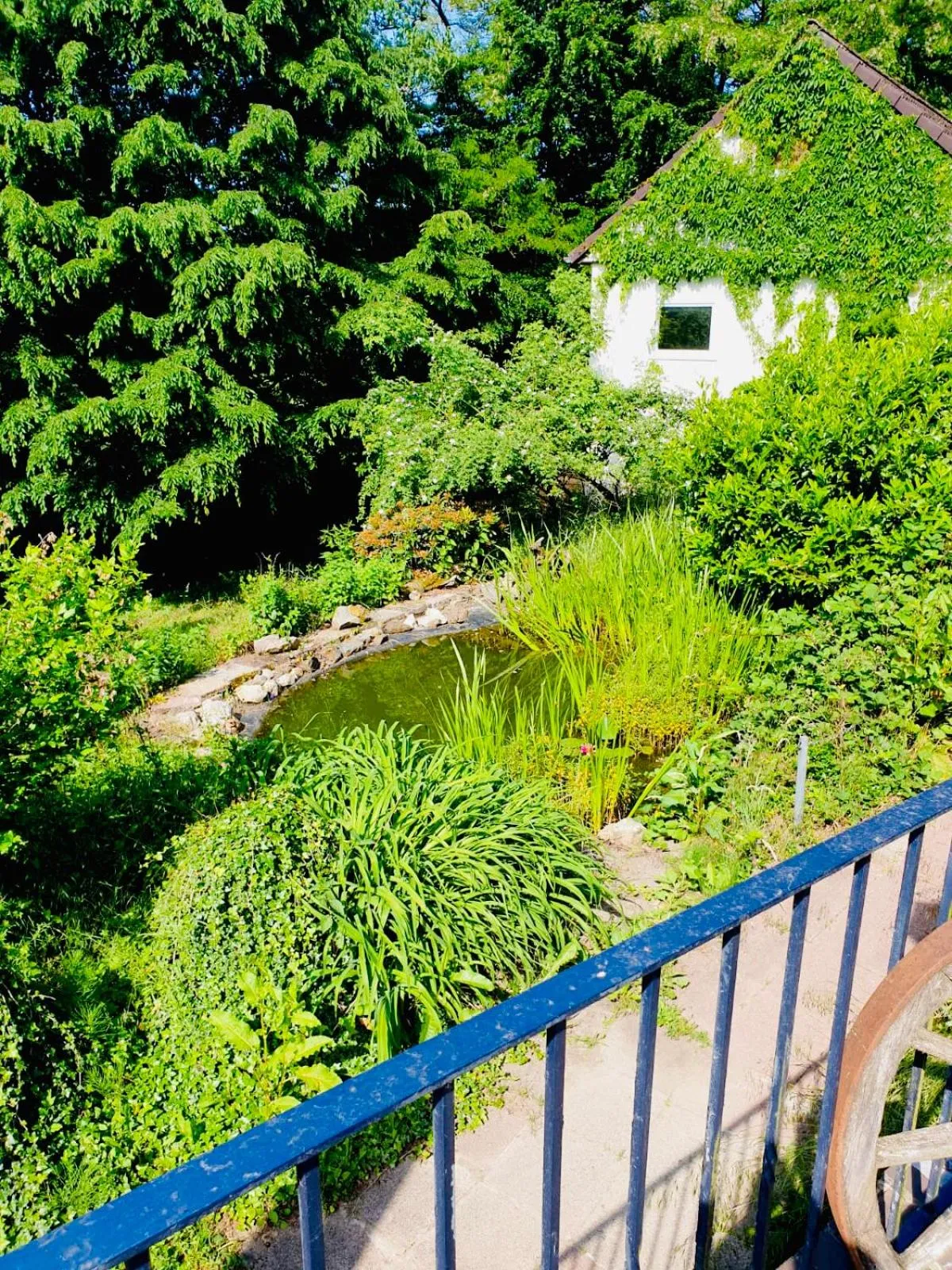 Garden view in Hotel-Restaurant Berghof
