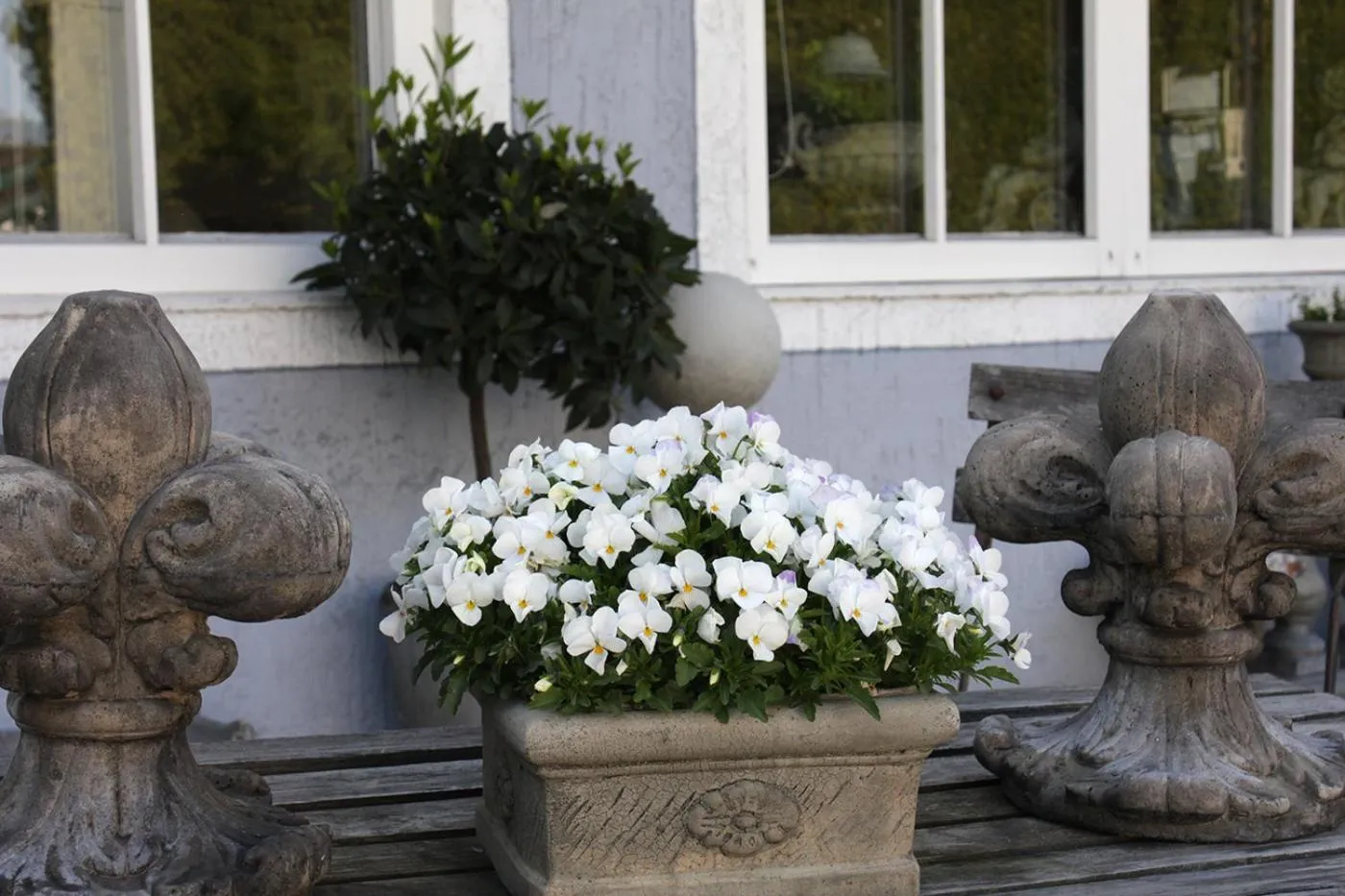 Decorative detail in Hotel zur Sonne