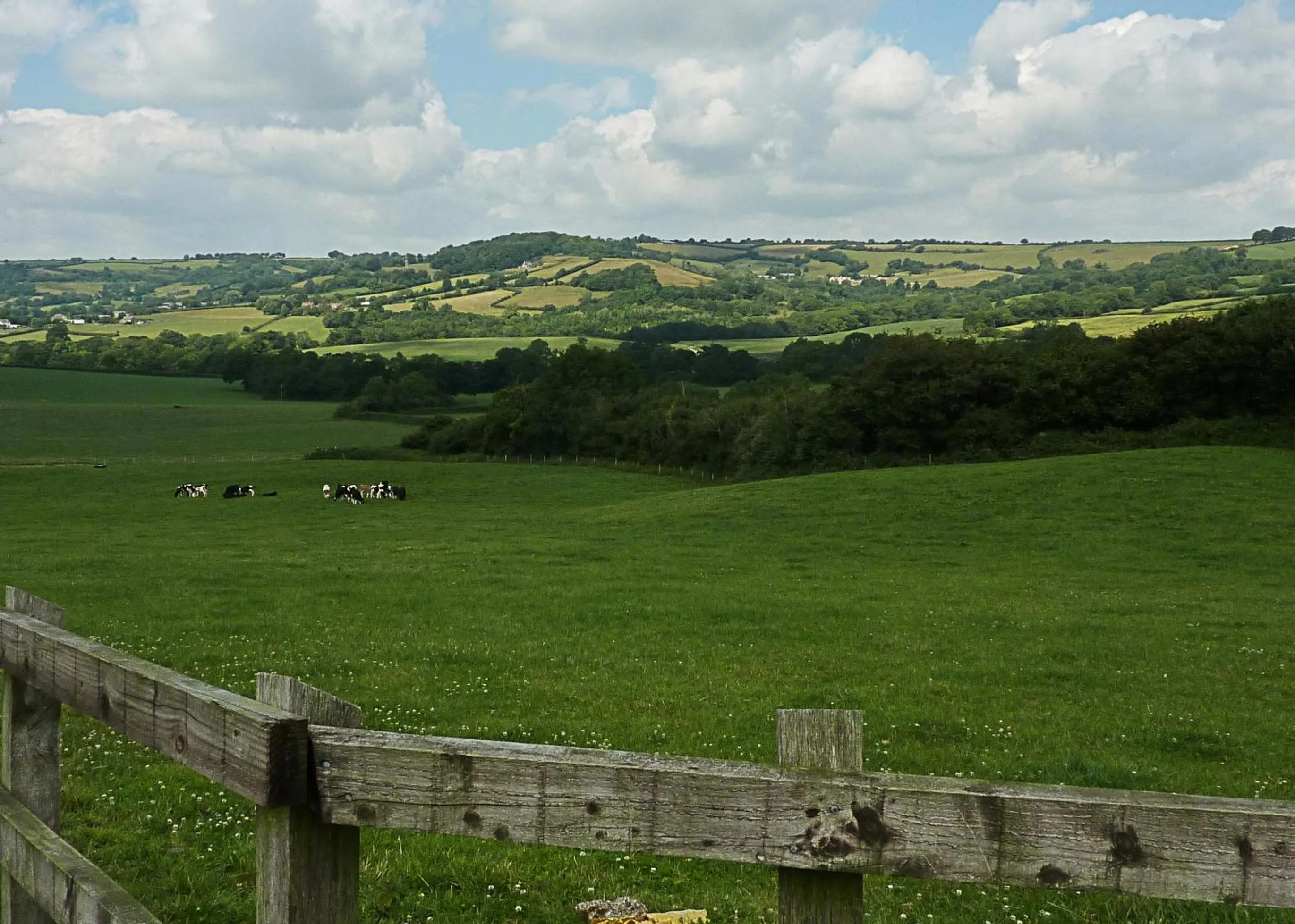 Natural landscape in The Black Dog Inn