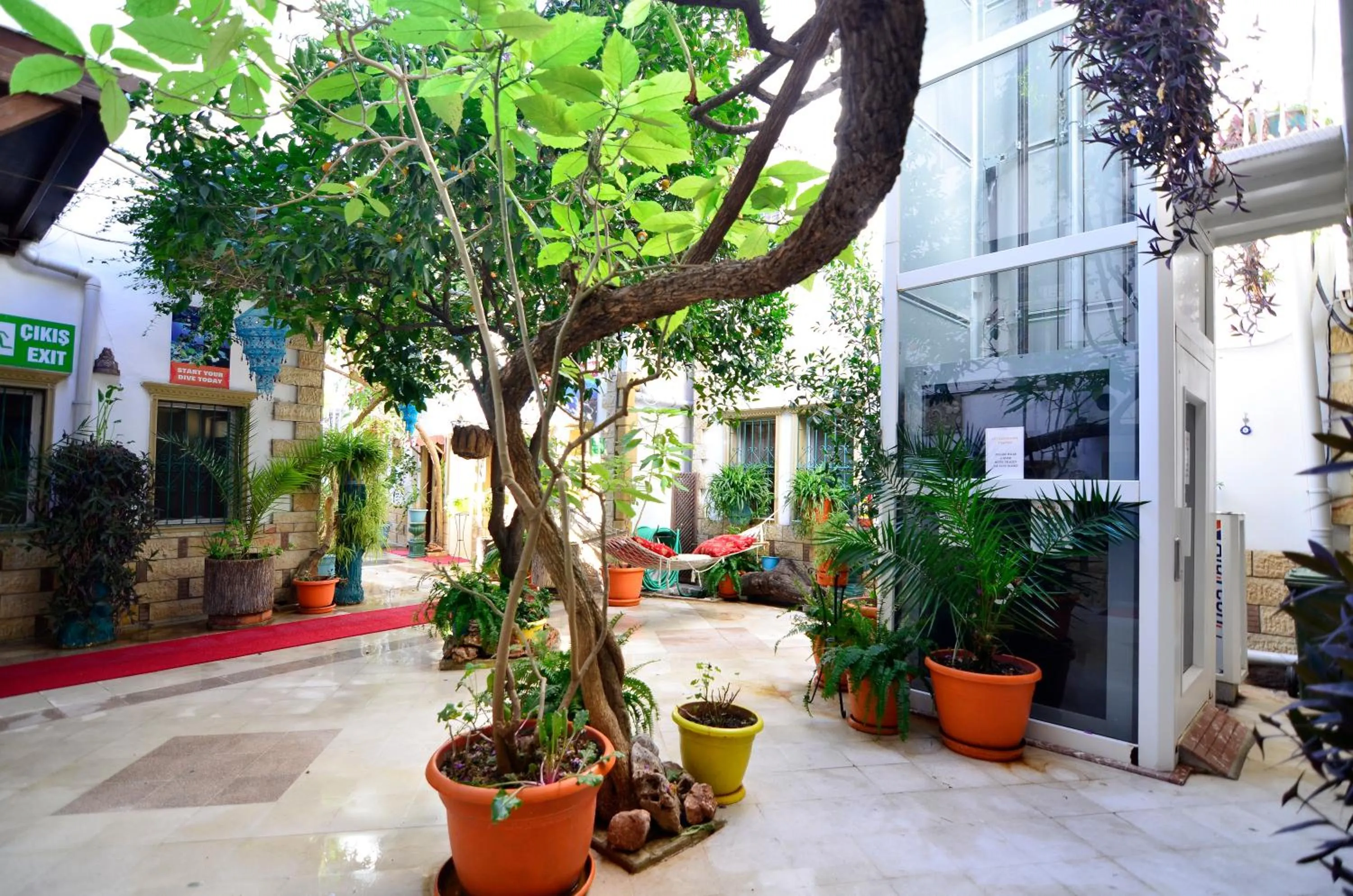 Garden in Sevin Hotel Pension