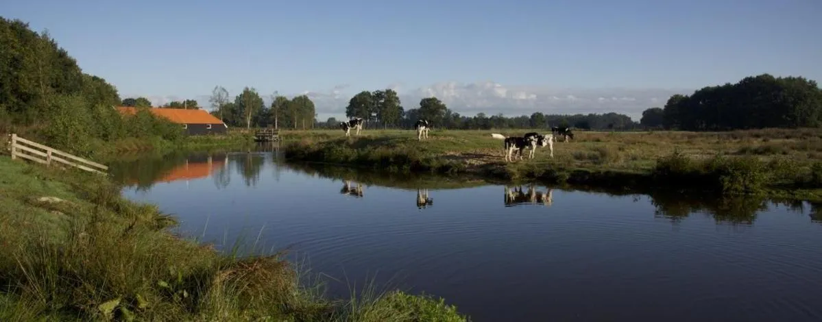 Natural landscape in Bed & Breakfast Hellendoorn