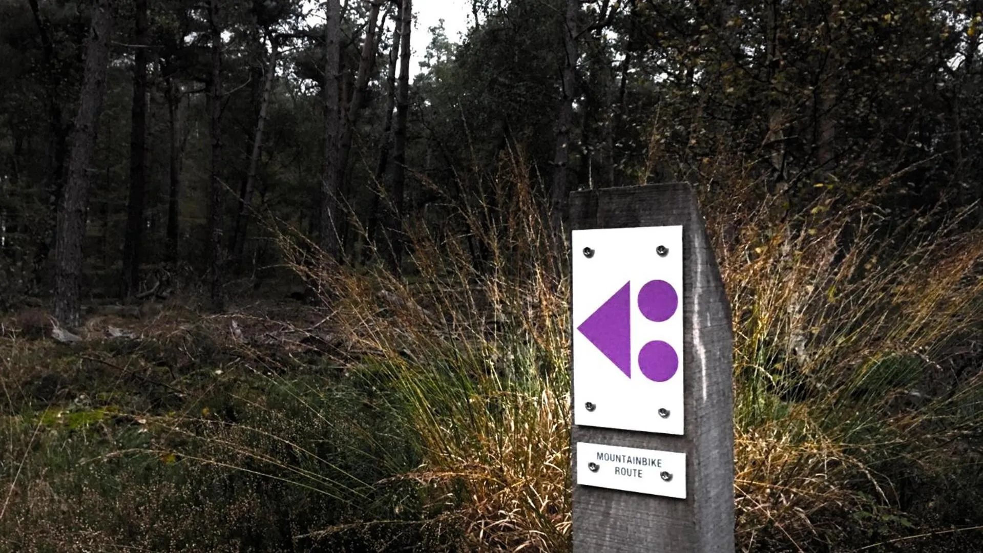 Bed & Breakfast Hellendoorn