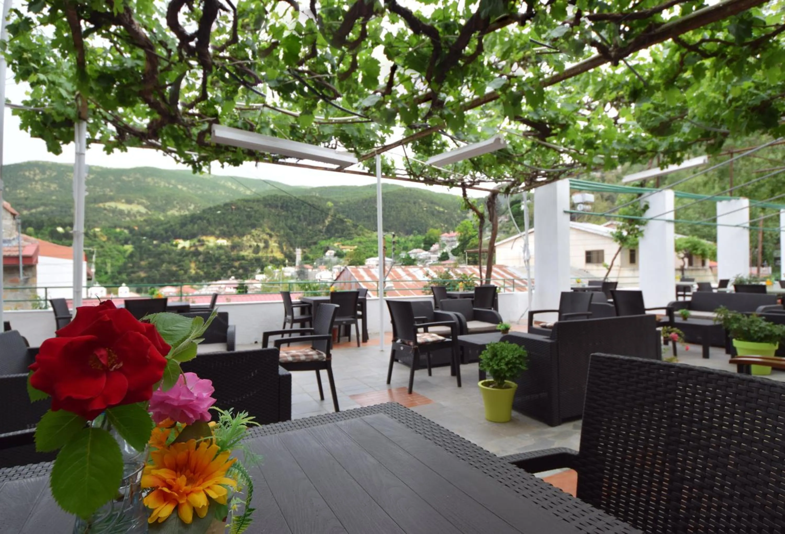 Garden view in Christys Palace Hotel