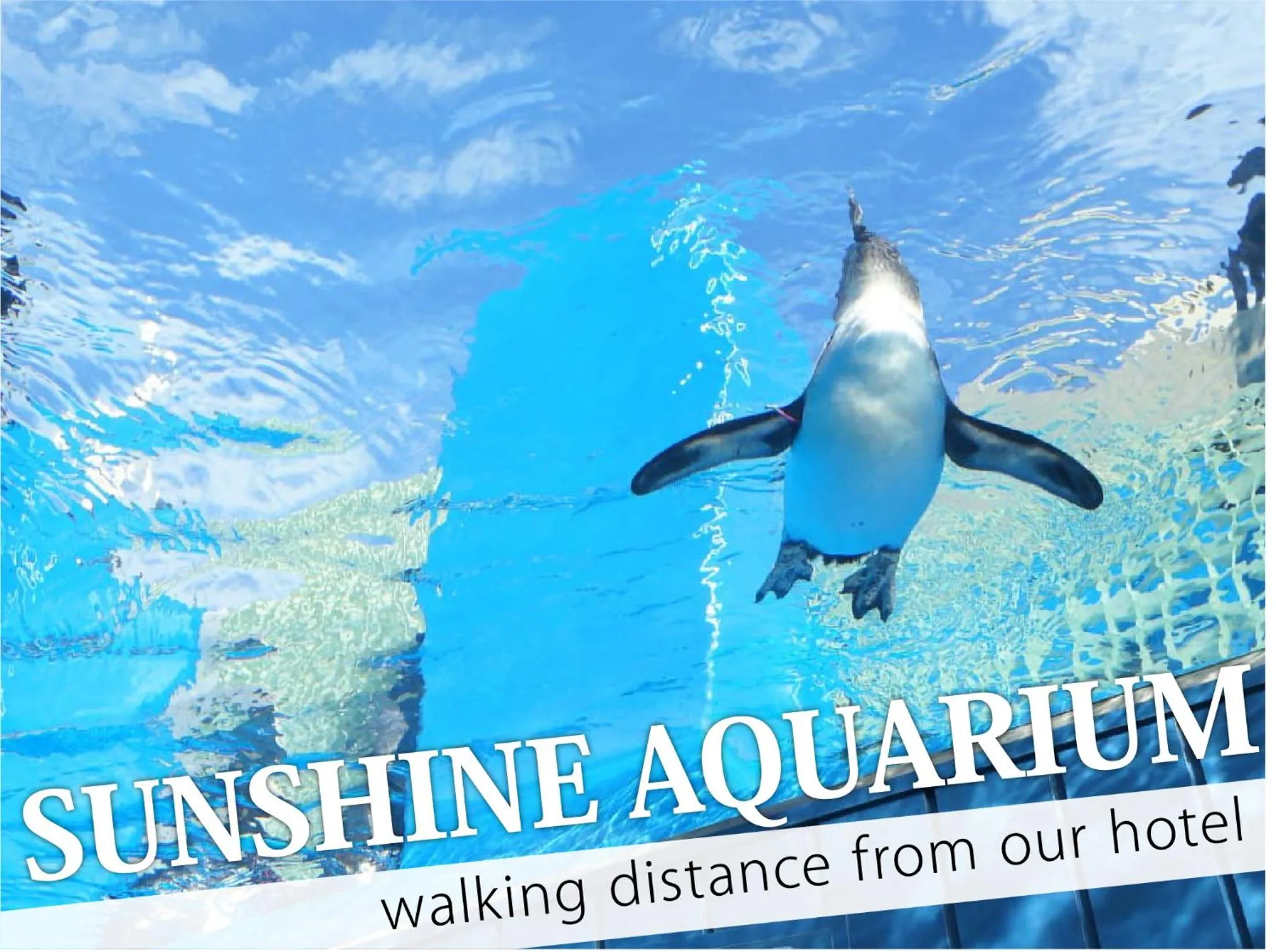 Nearby landmark in Hotel Amethyst