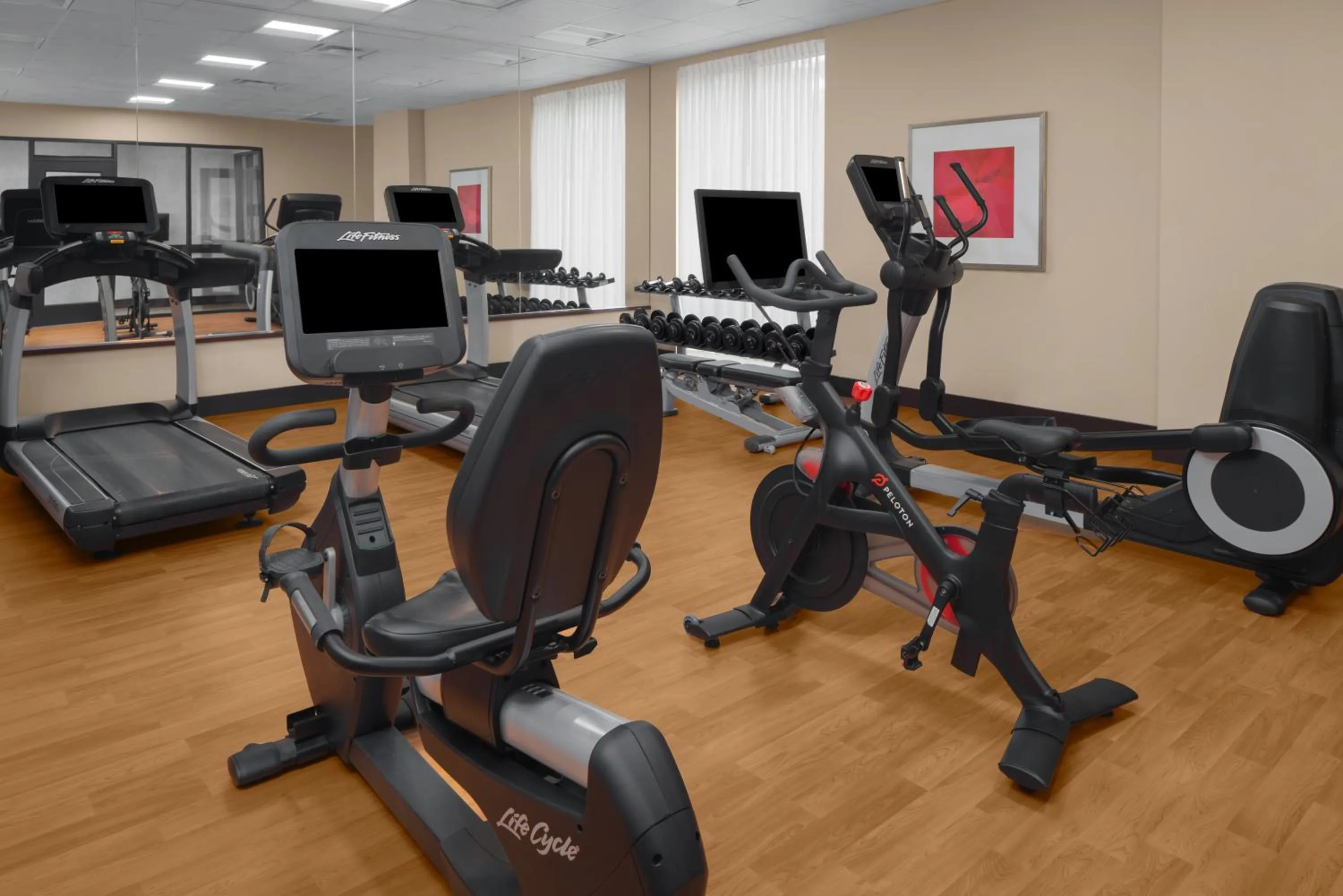 Fitness centre/facilities in Hyatt Place Herndon Dulles Airport - East