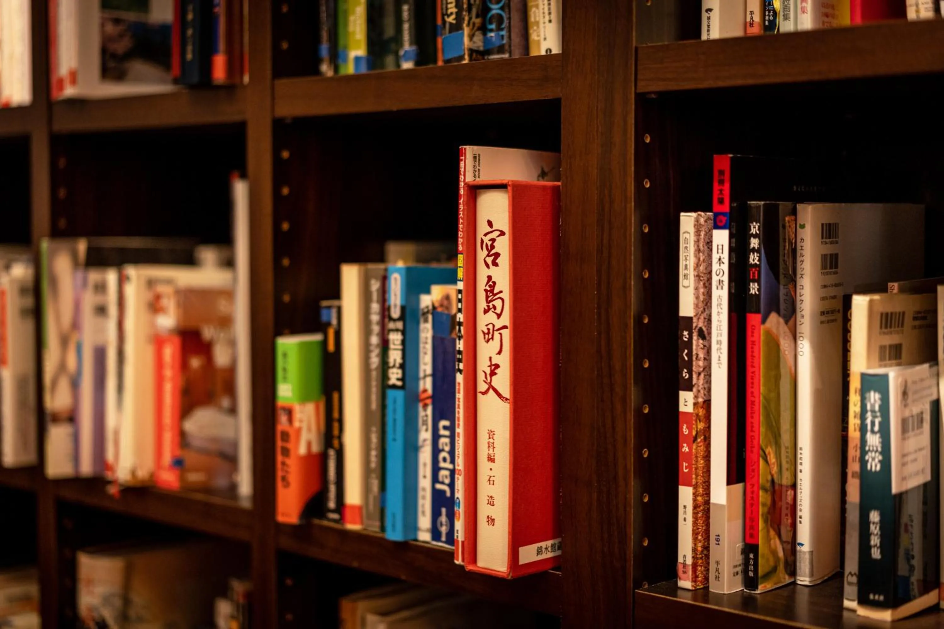 Library in Kinsuikan