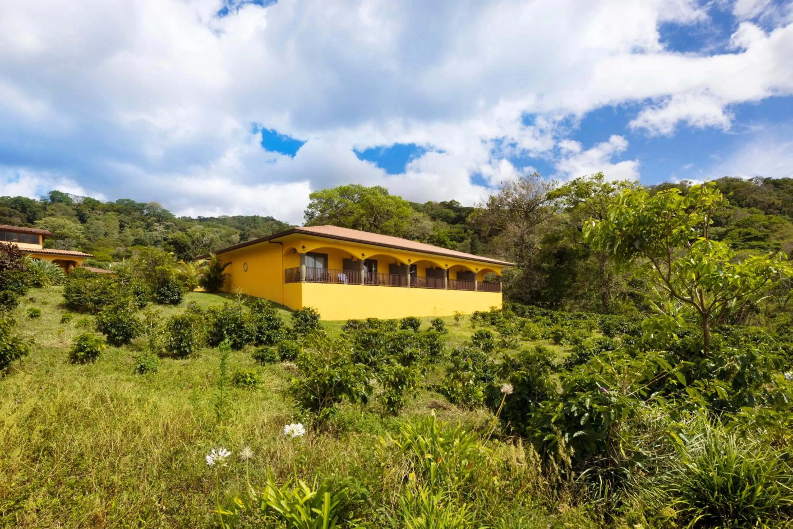 View (from property/room) in Los Establos Boutique Resort - All Inclusive