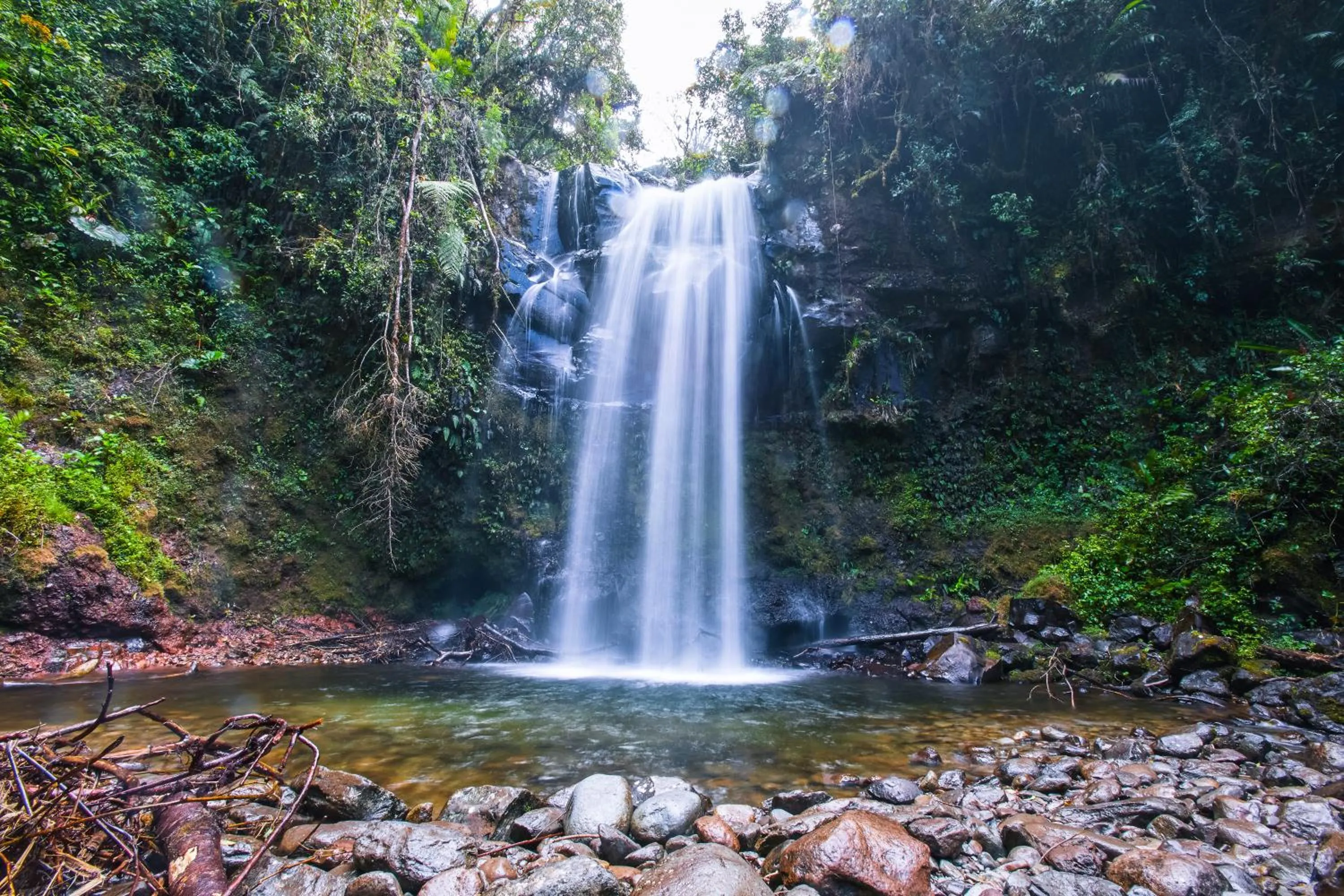 Off site in Los Establos Boutique Resort - All Inclusive