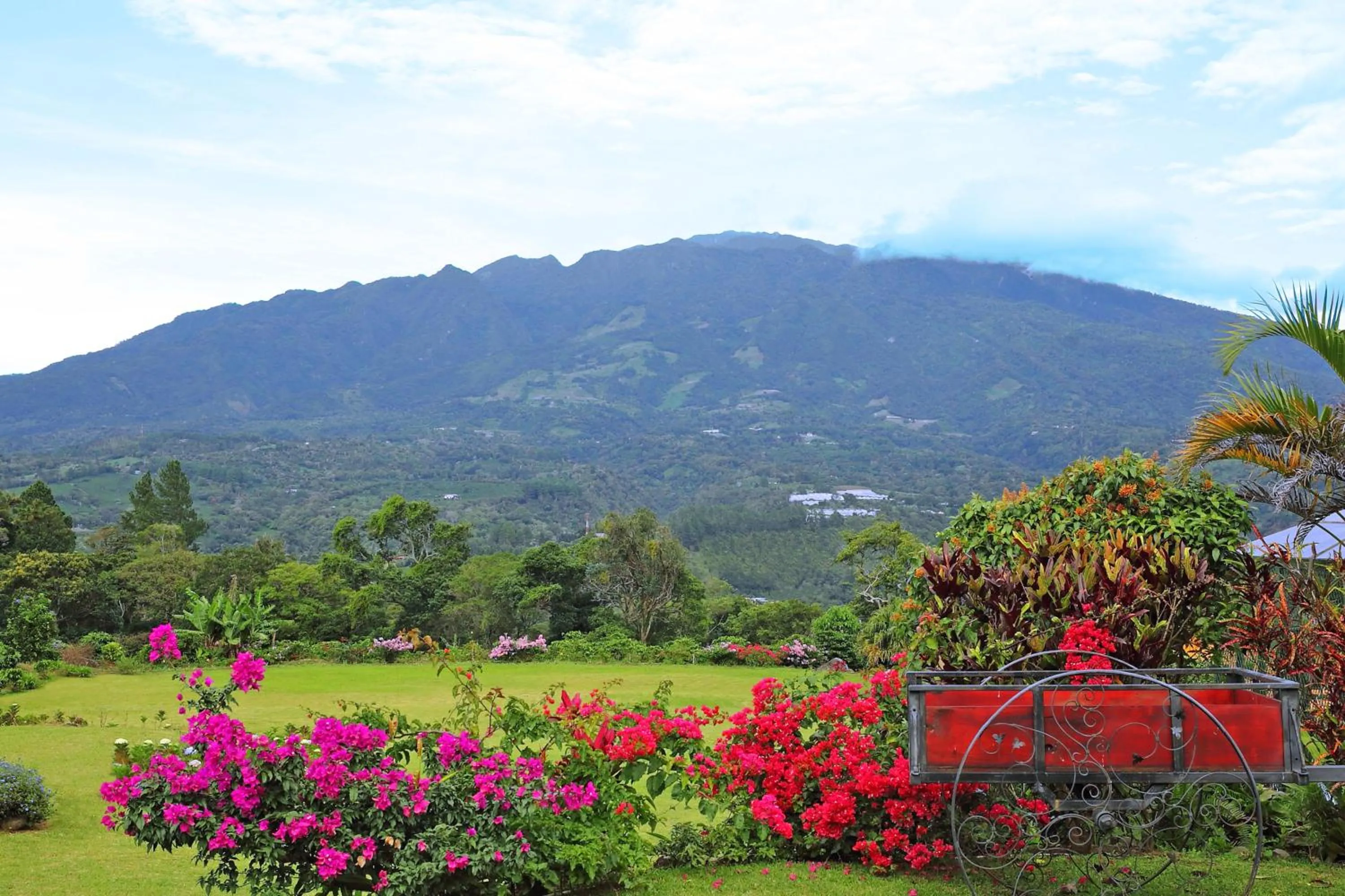 View (from property/room) in Los Establos Boutique Resort - All Inclusive