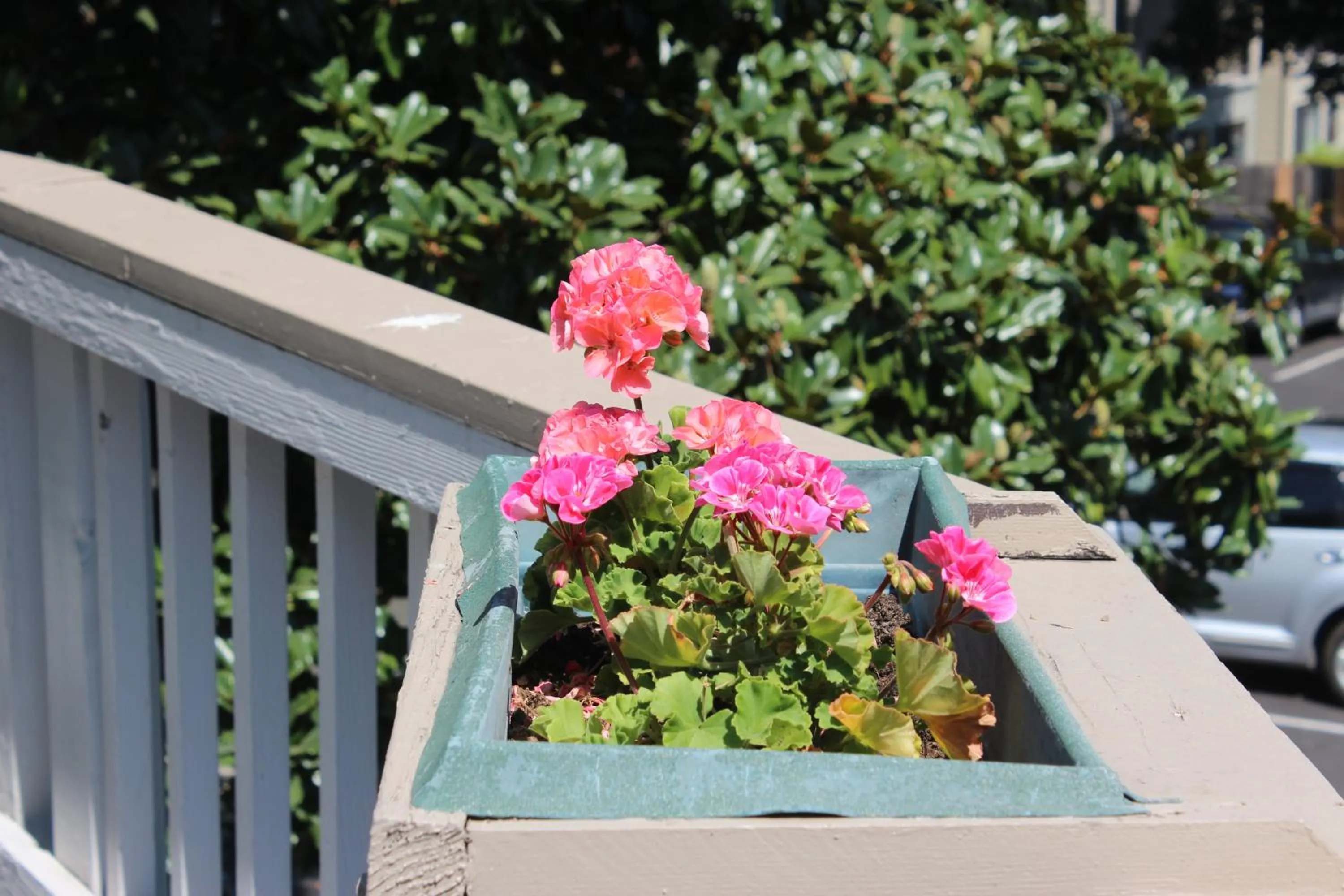 Spring in Cedarwood Inn of Ashland