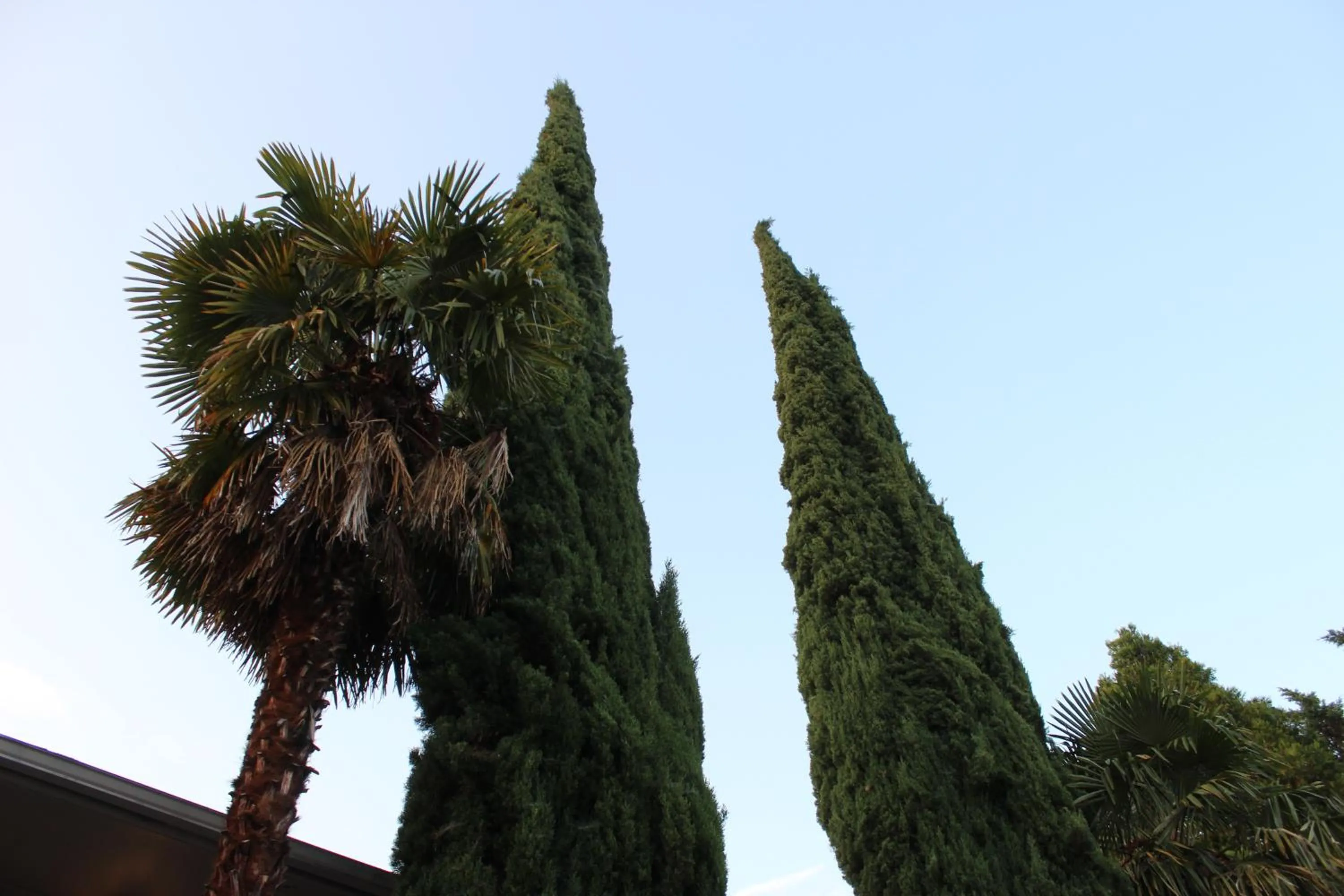 Garden view in Cedarwood Inn of Ashland