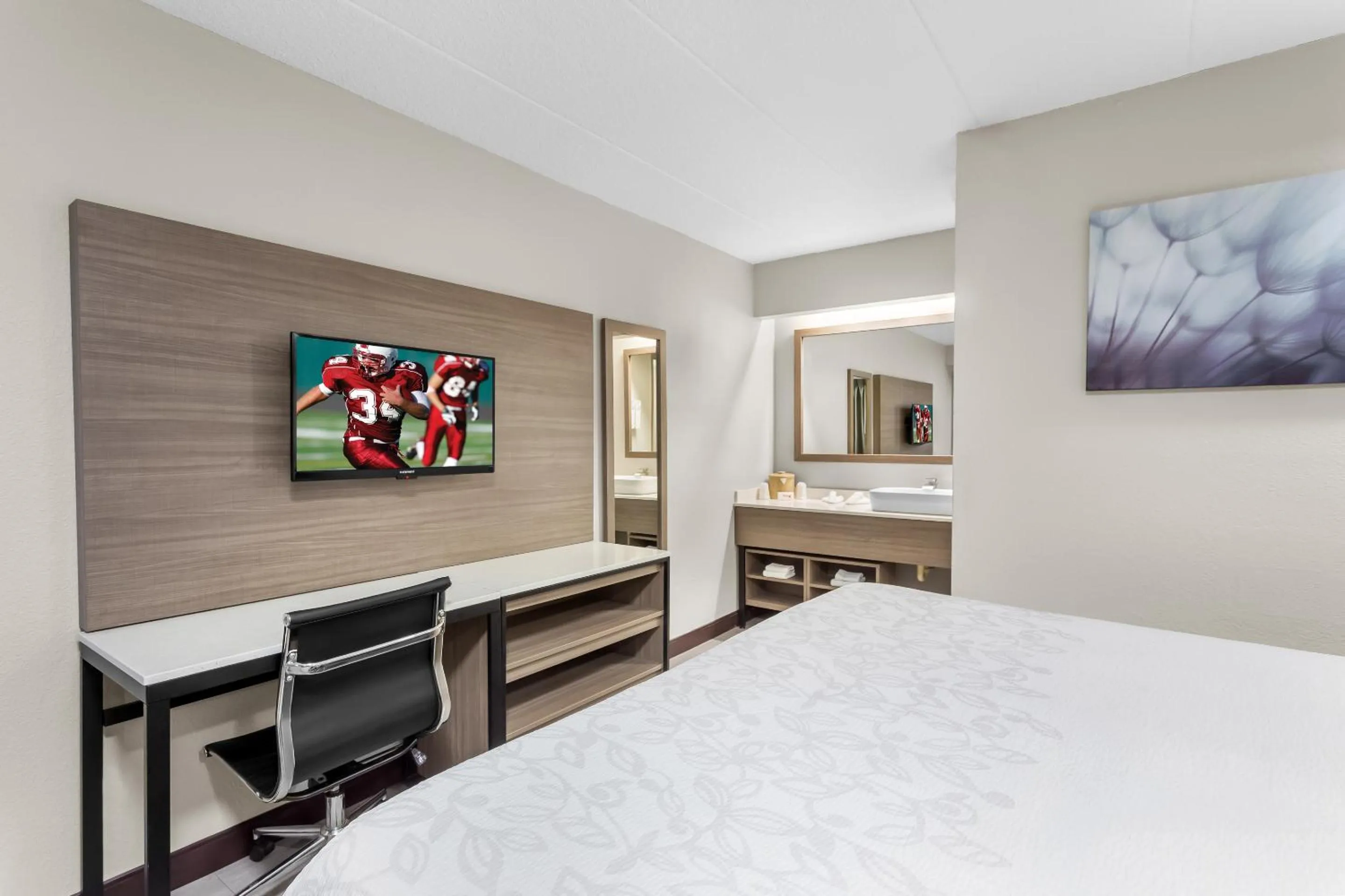 Guests, Bed in Red Roof PLUS Chicago - Hoffman Estates