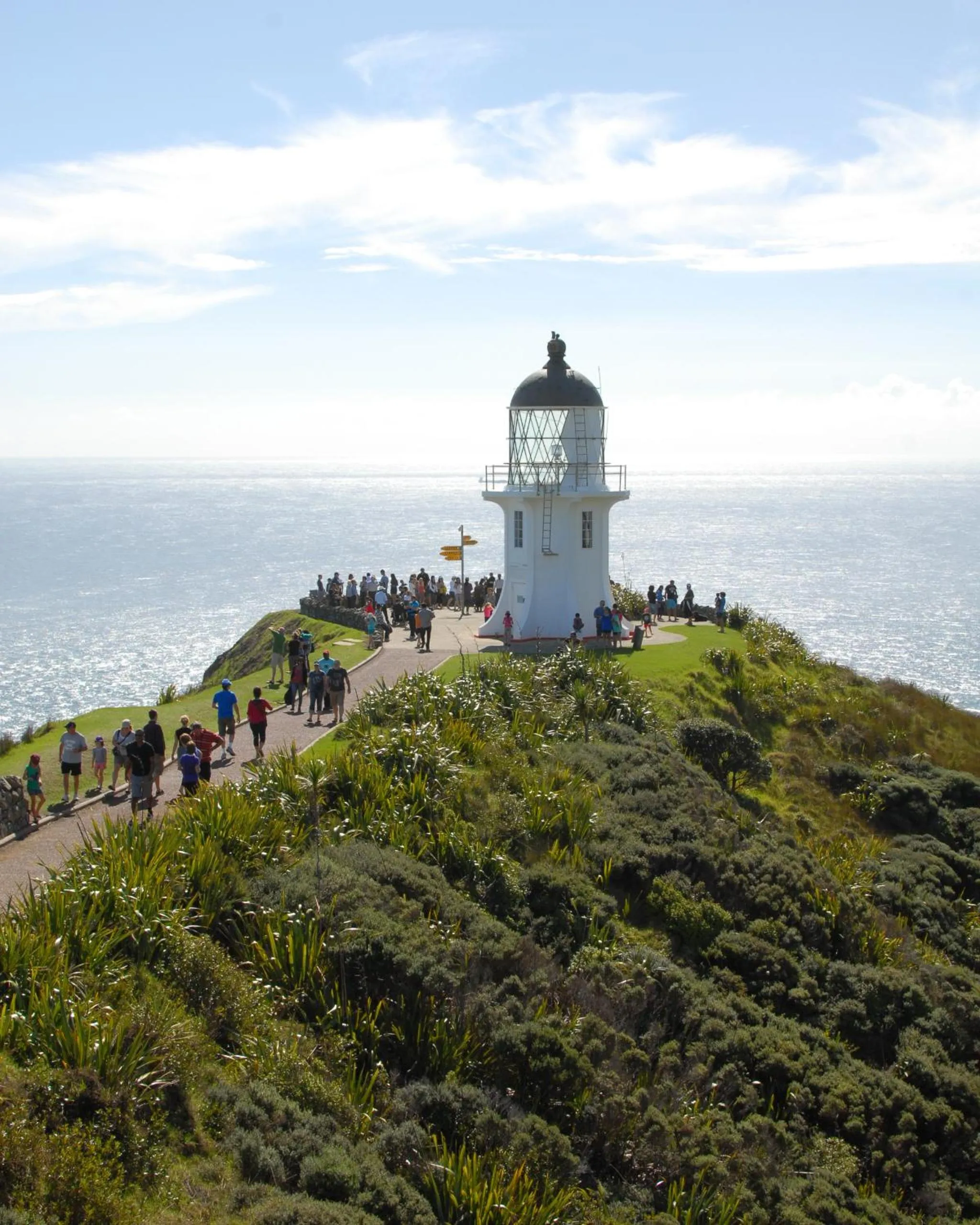 Nearby landmark in Kauri Lodge Motel