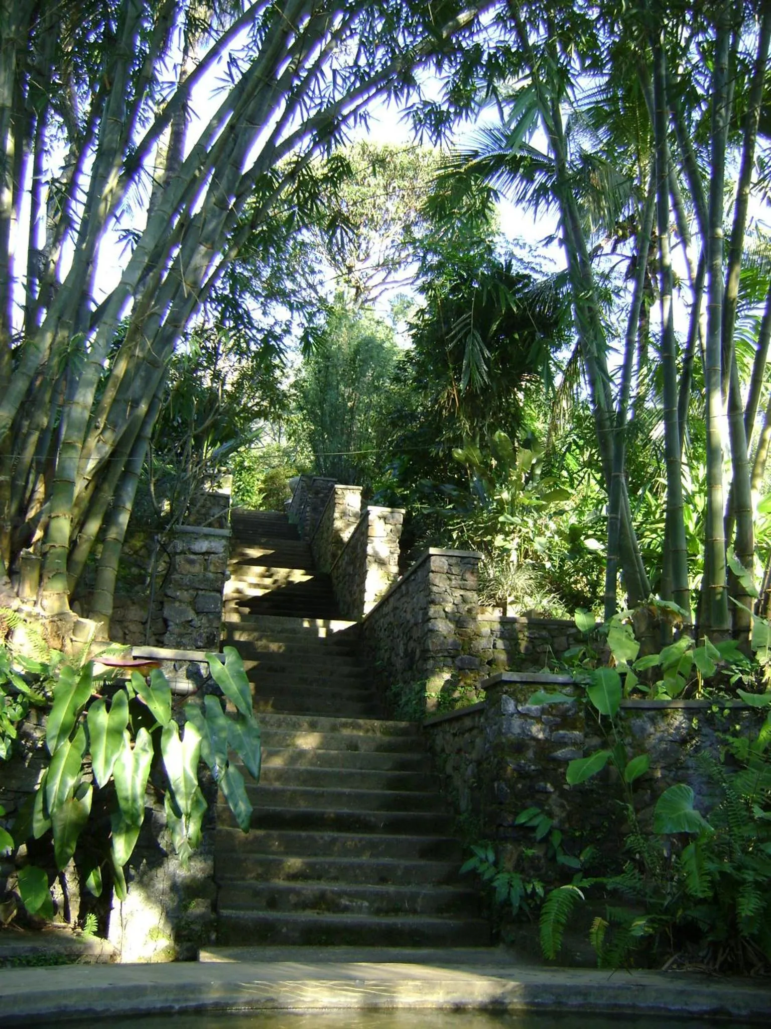 Natural landscape in Landa Holiday House