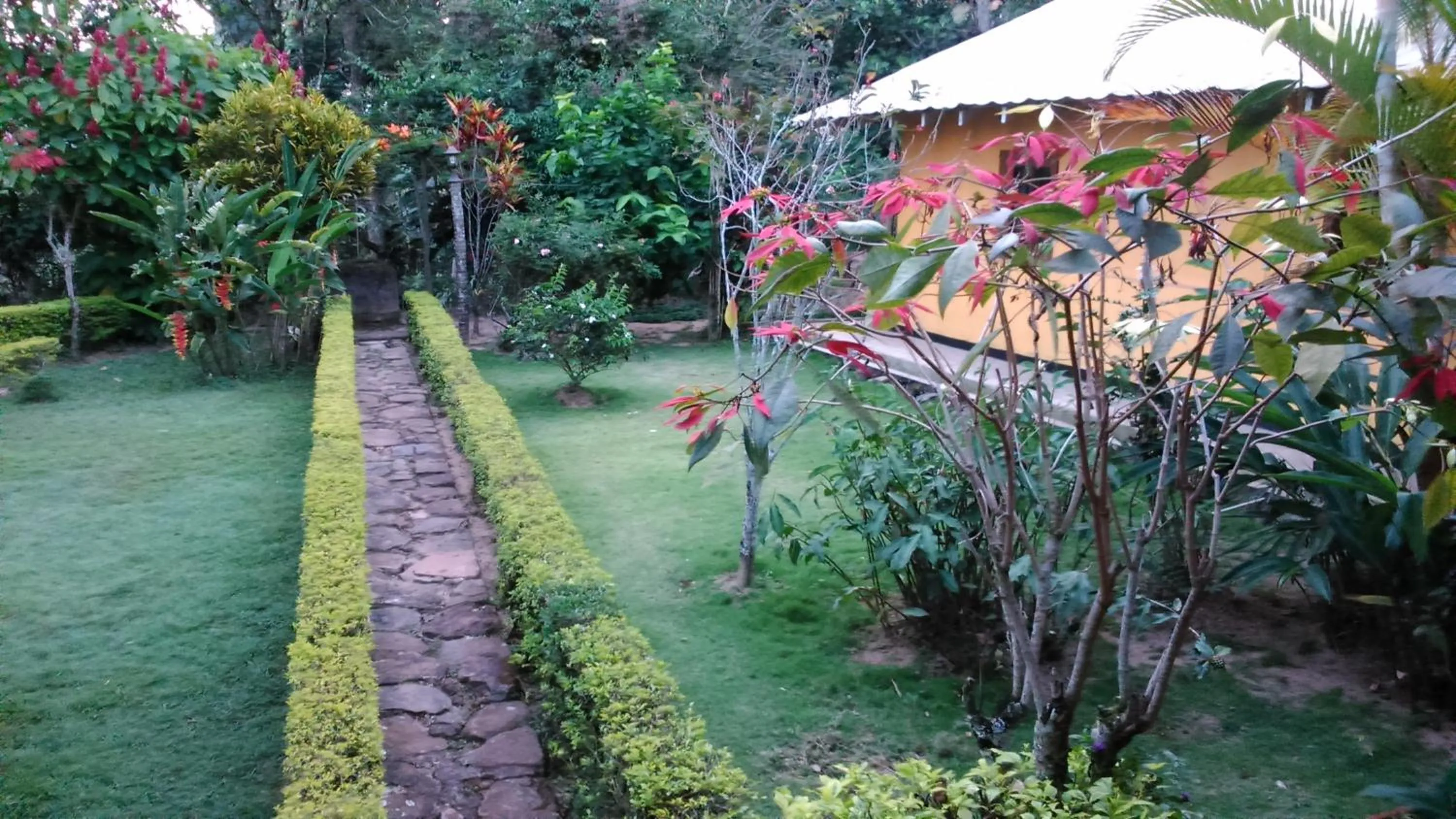 Garden in Sunnyside Holiday Bungalow