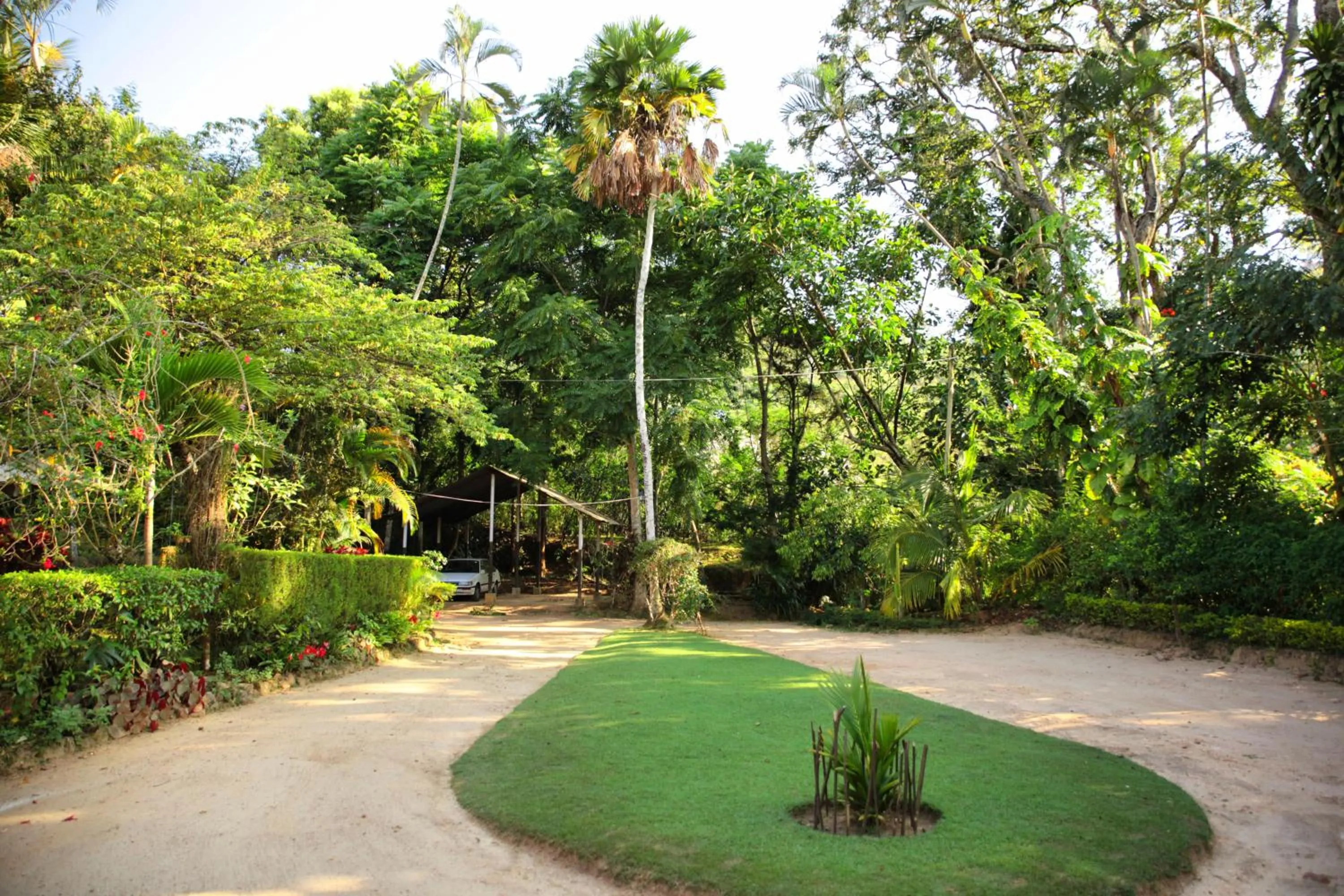 Garden in Sunnyside Holiday Bungalow