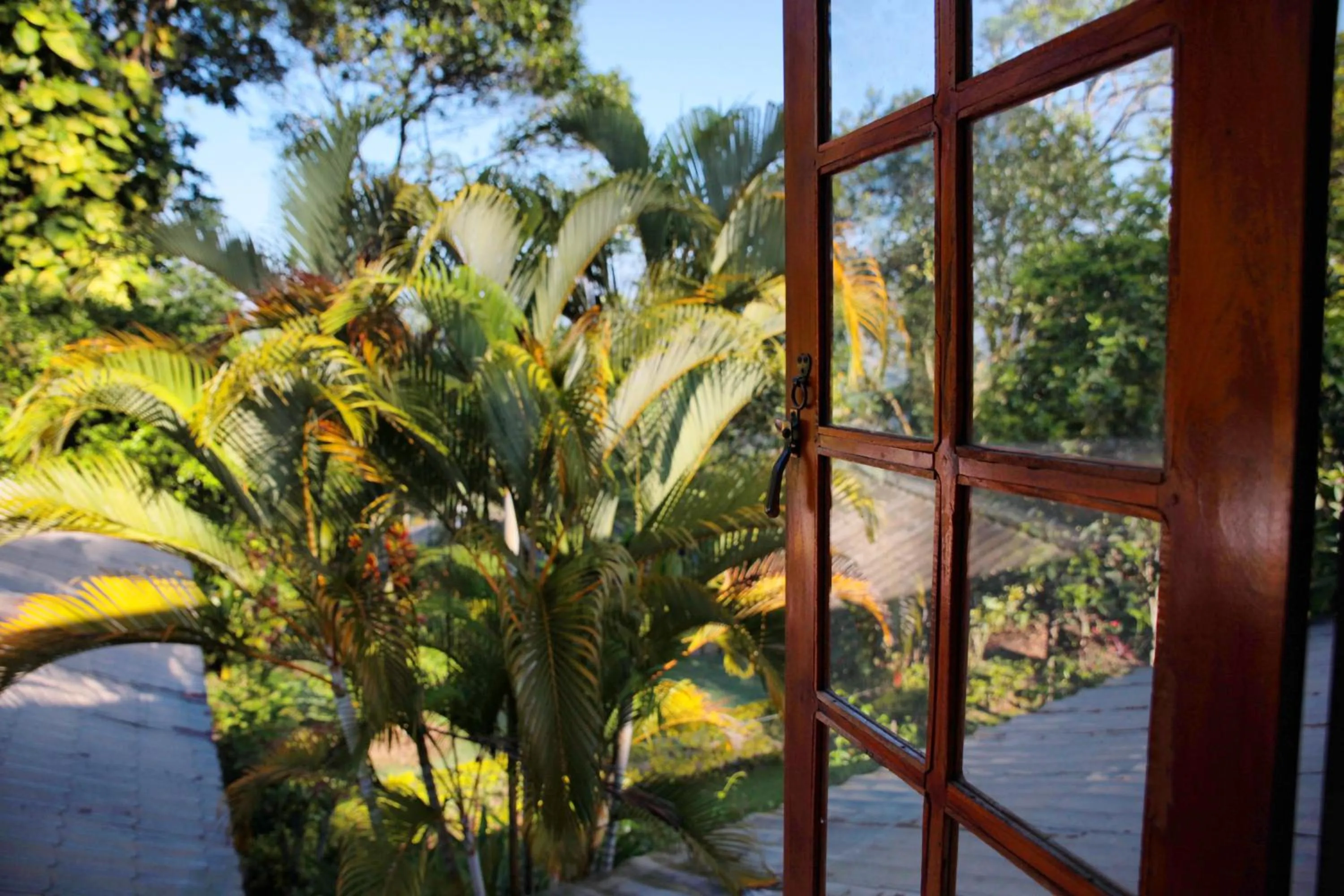 Garden in Sunnyside Holiday Bungalow