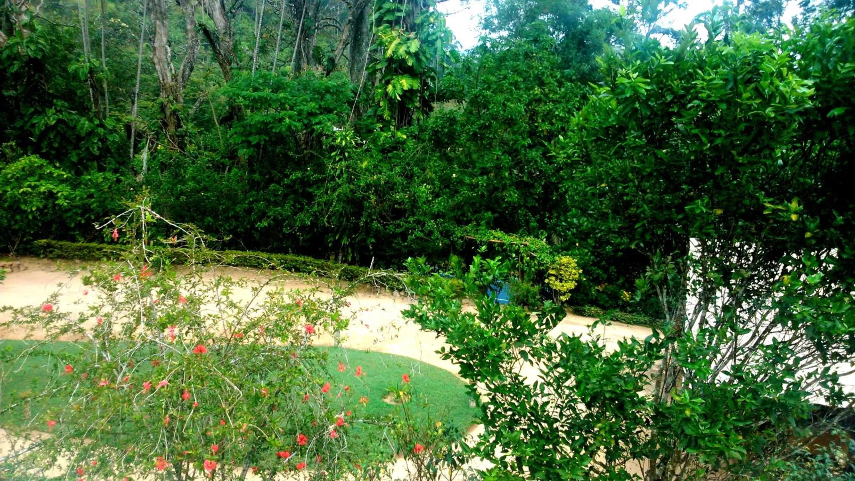 Garden in Sunnyside Holiday Bungalow