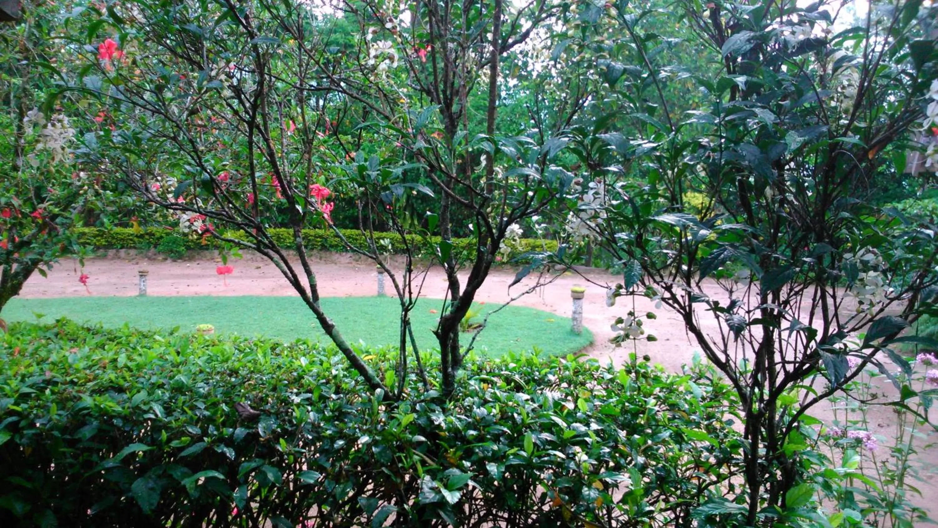 Garden in Sunnyside Holiday Bungalow