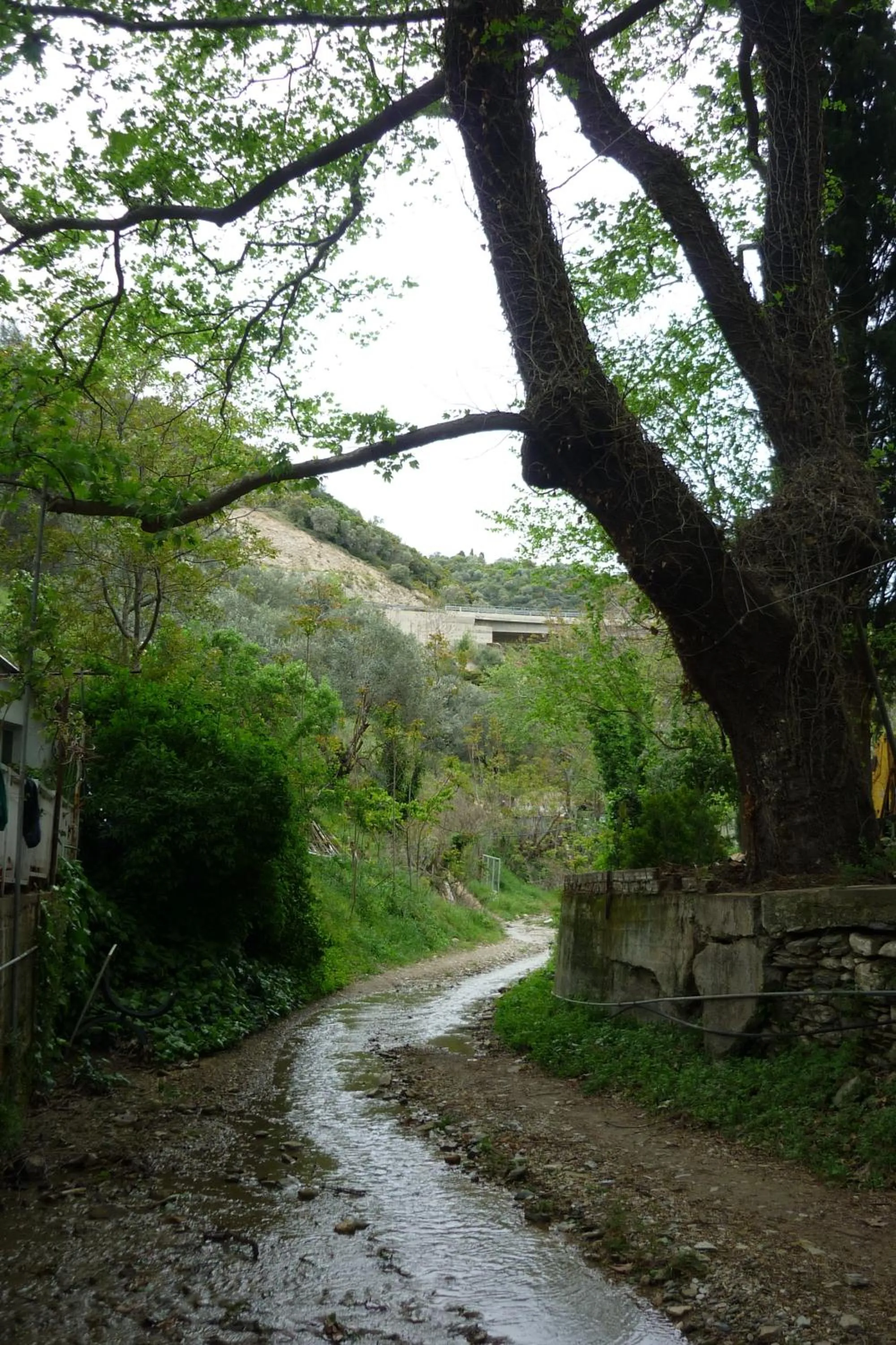 Nearby landmark in Pagona Hotel