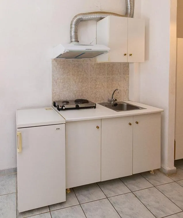 Kitchen or kitchenette in Pagona Hotel