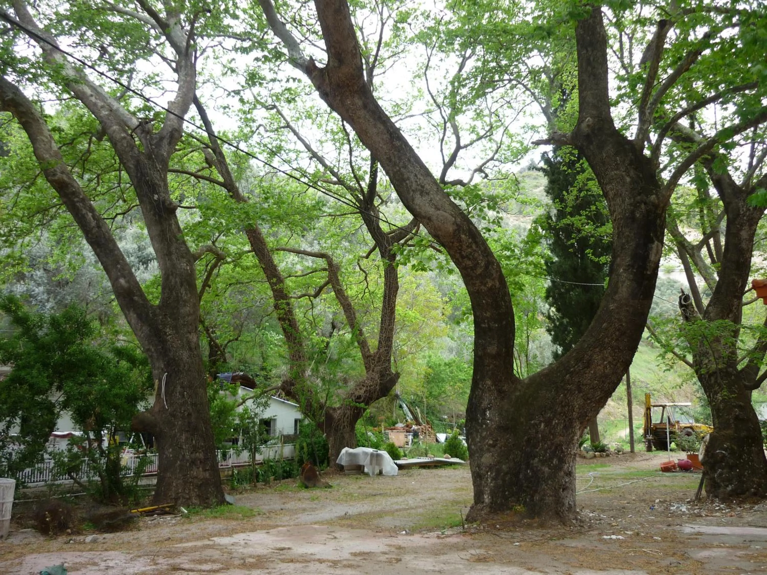 Nearby landmark in Pagona Hotel