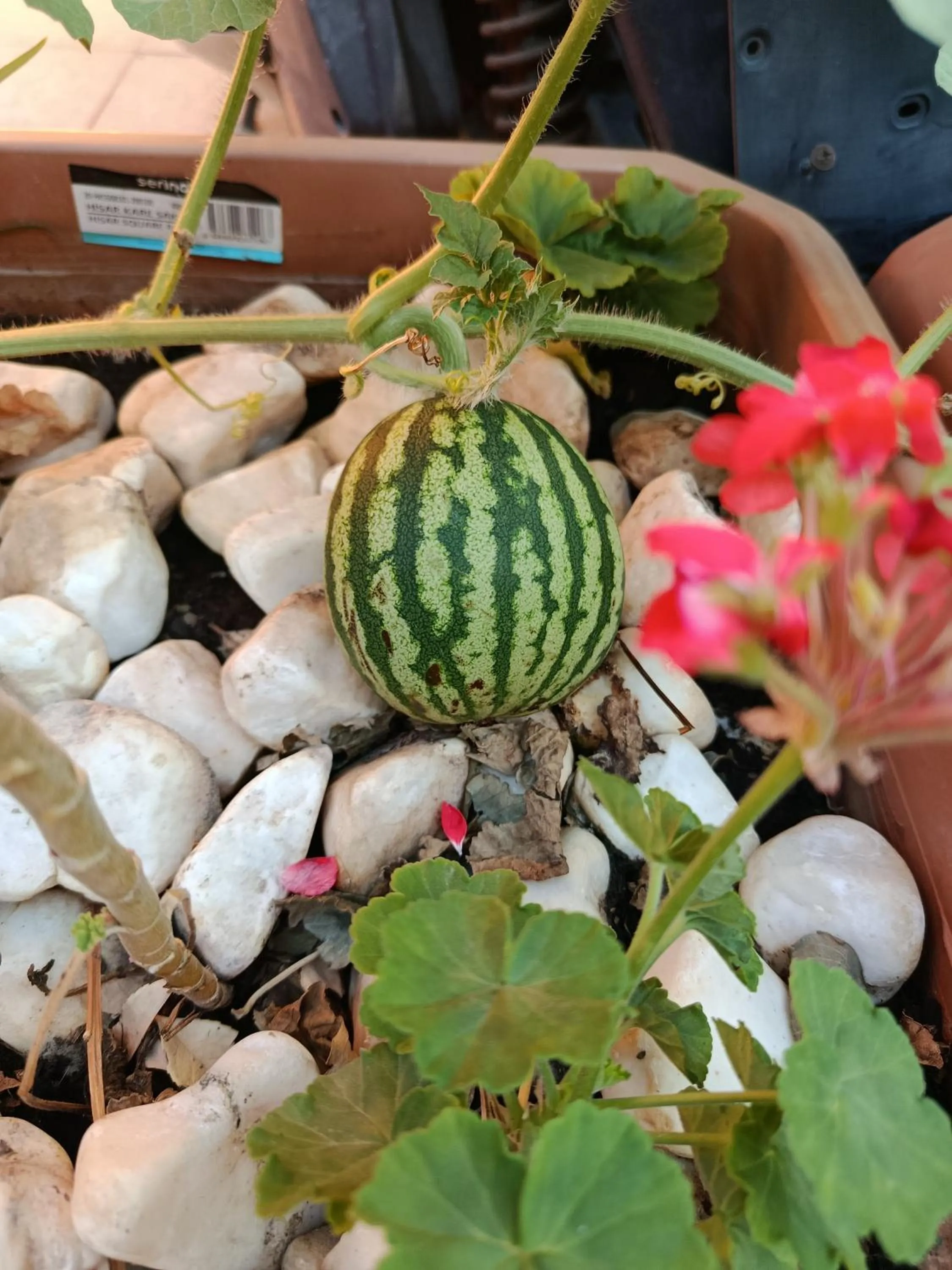 Property building in Sultan Hostel & Guesthouse