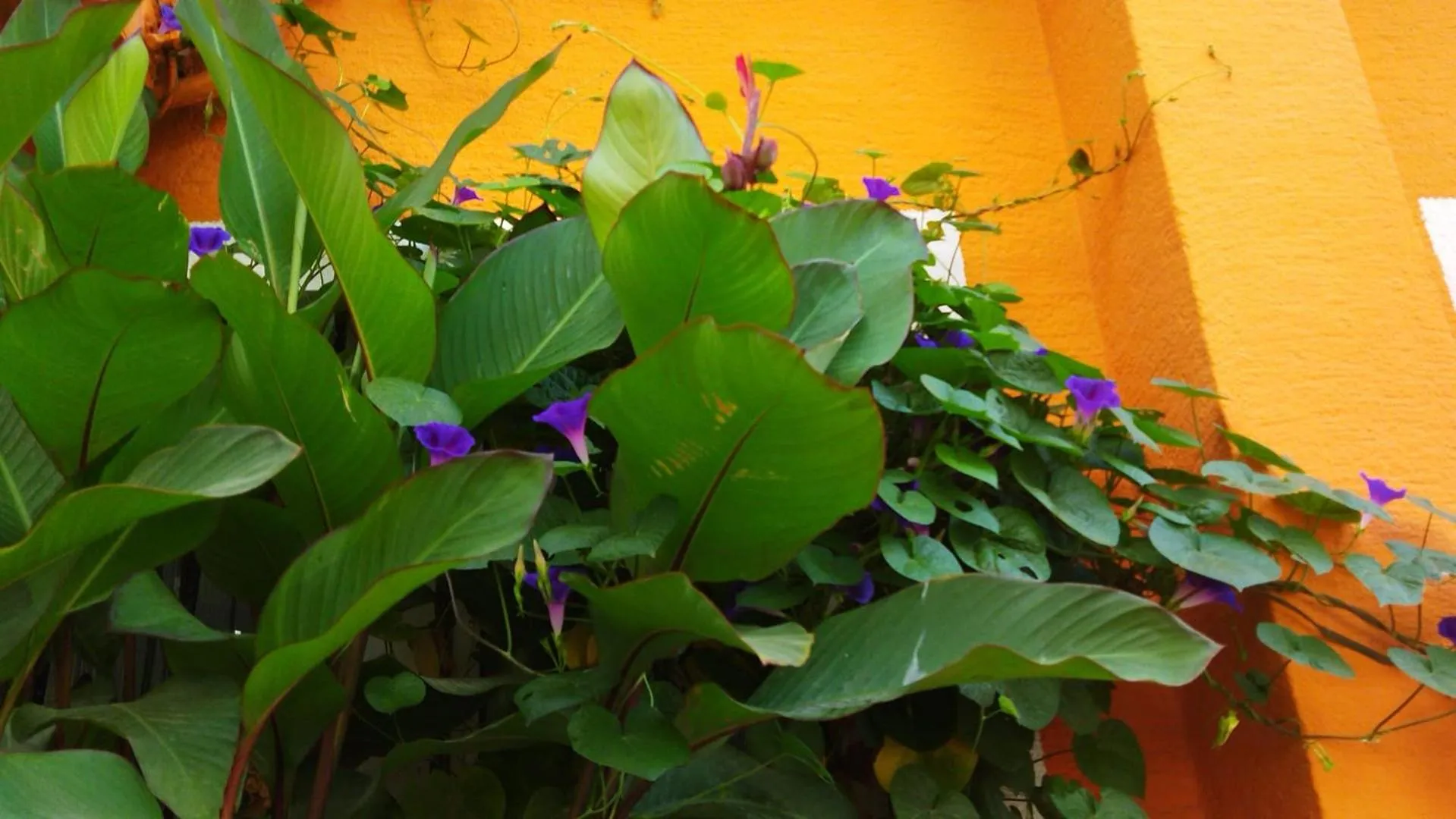 Property building in Sultan Hostel & Guesthouse