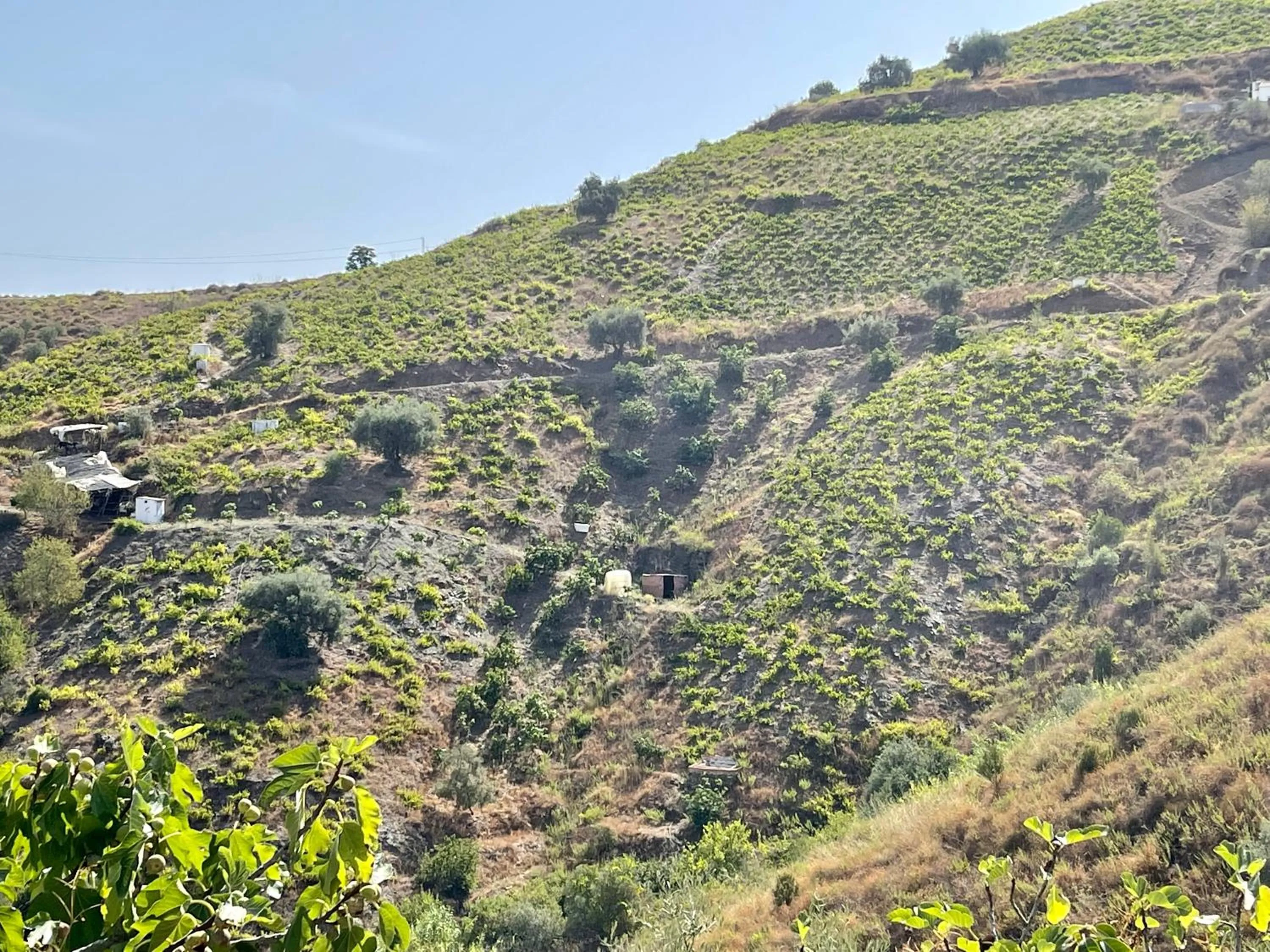 Natural landscape in Hotel Posada del Bandolero