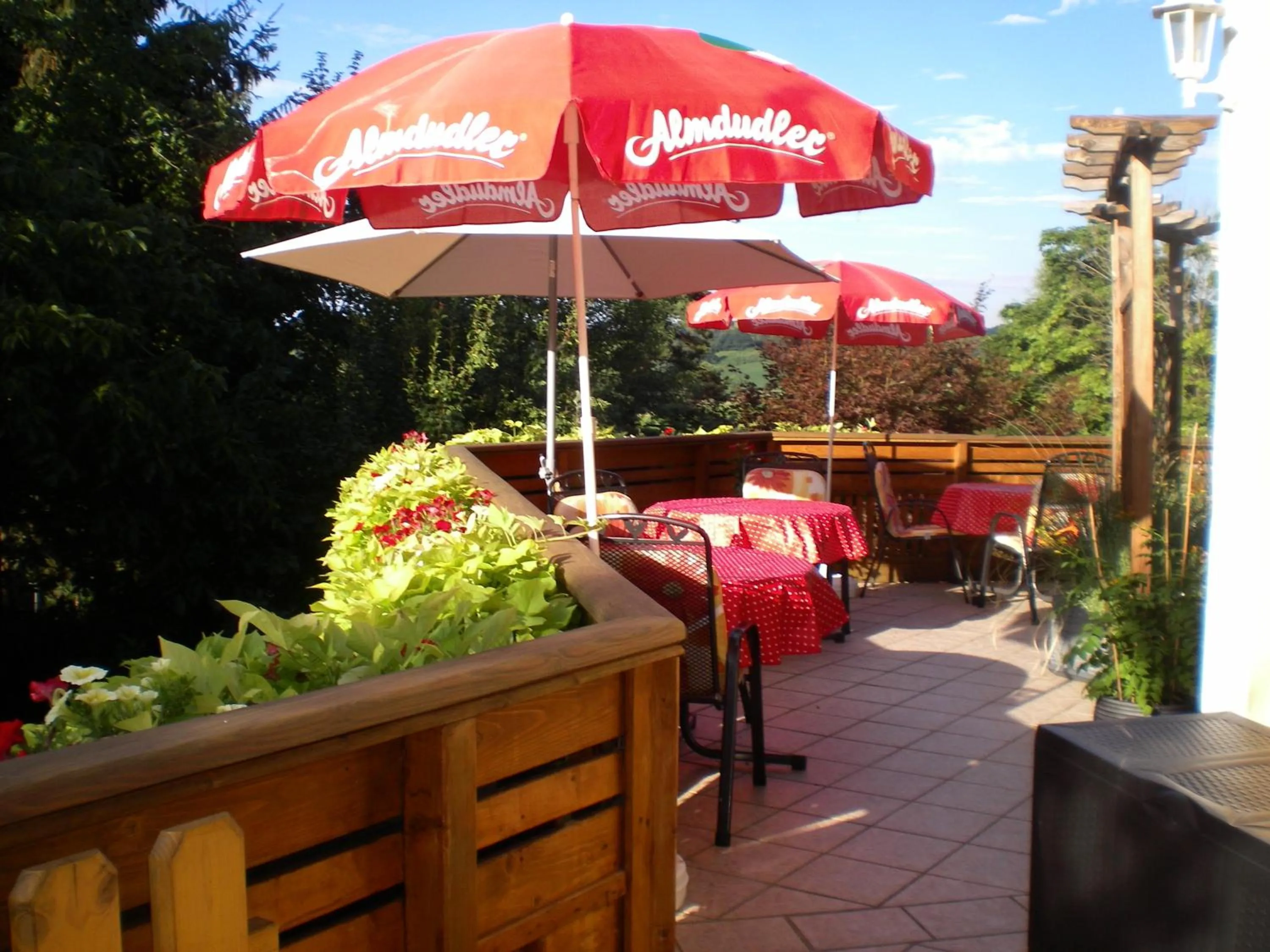 Balcony/Terrace in Pension Thermensonne