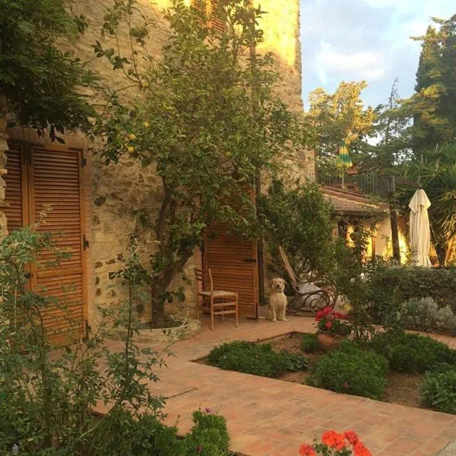 Garden in Dolce Vita