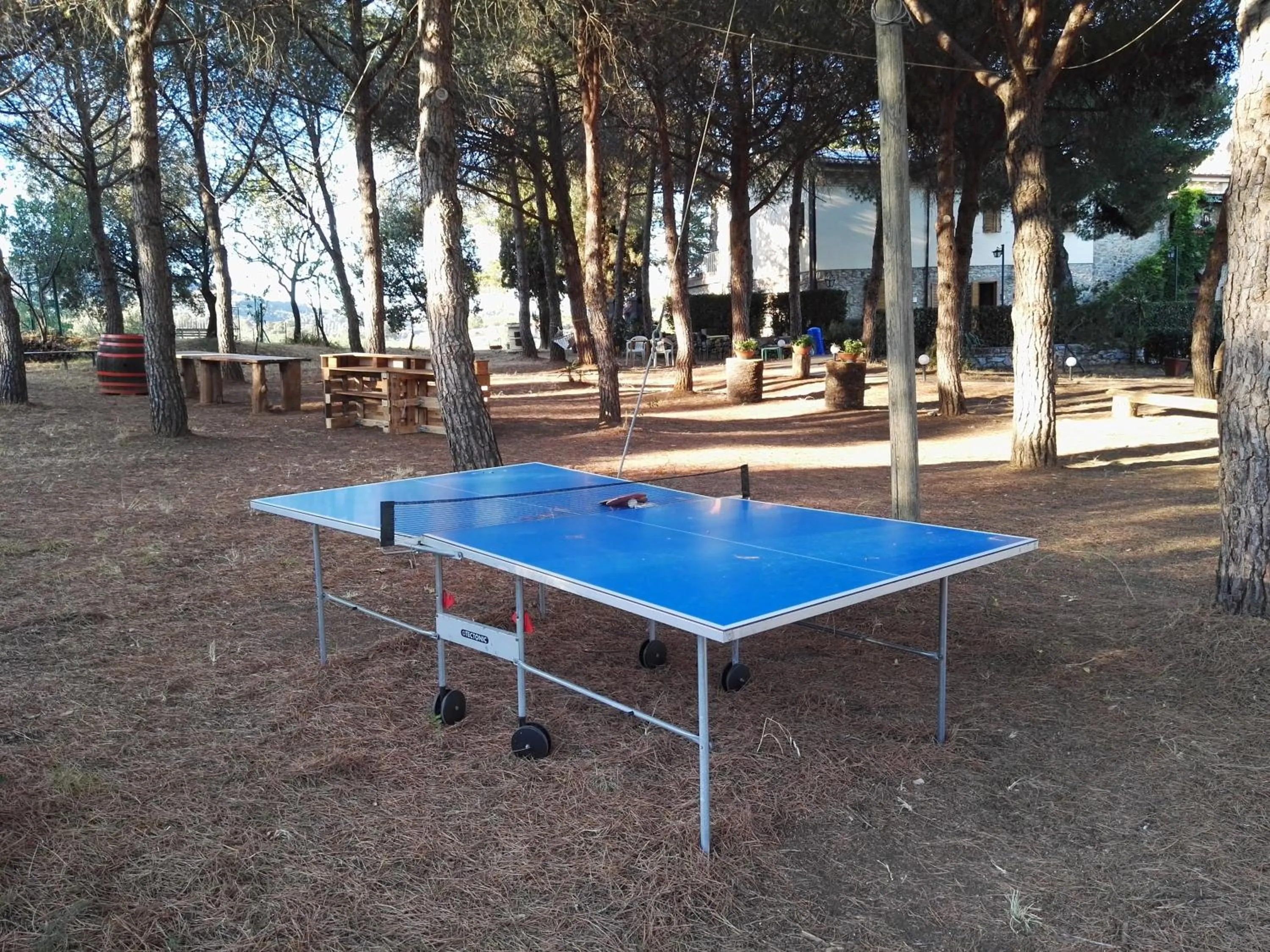 Table tennis in Dolce Vita