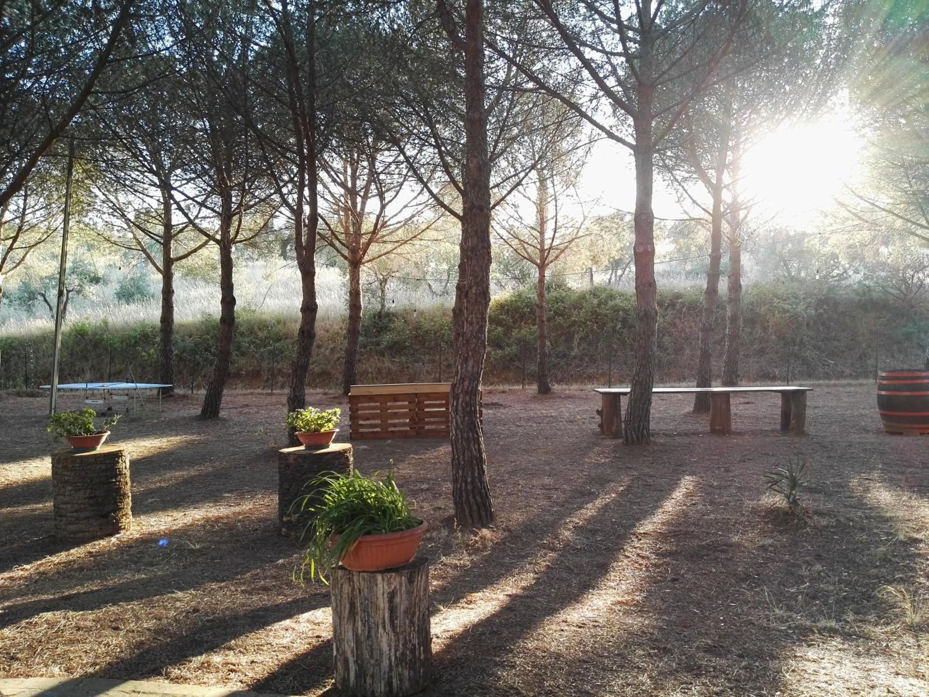 Garden in Dolce Vita