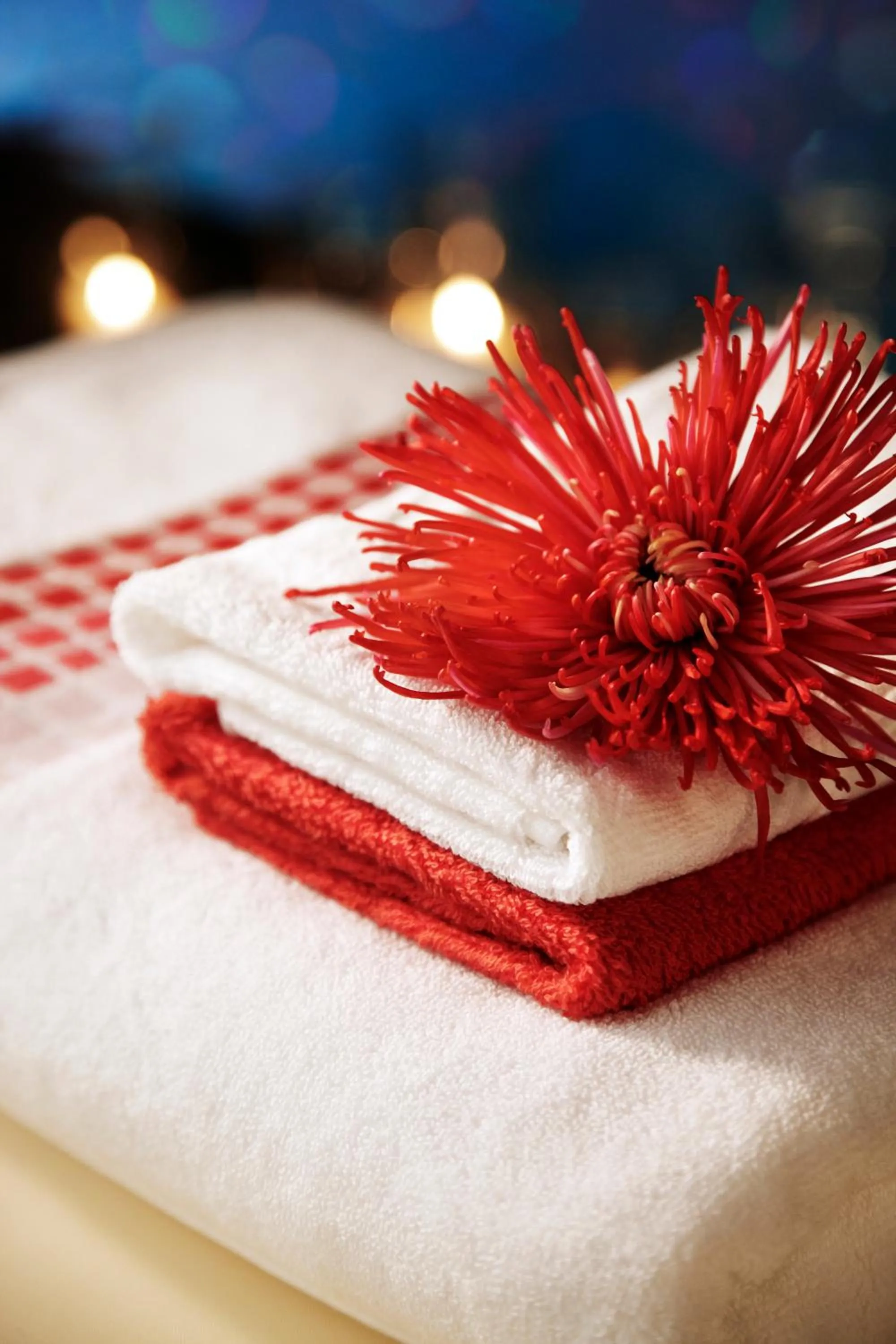 Spa and wellness centre/facilities in Gir Serai - IHCL SeleQtions