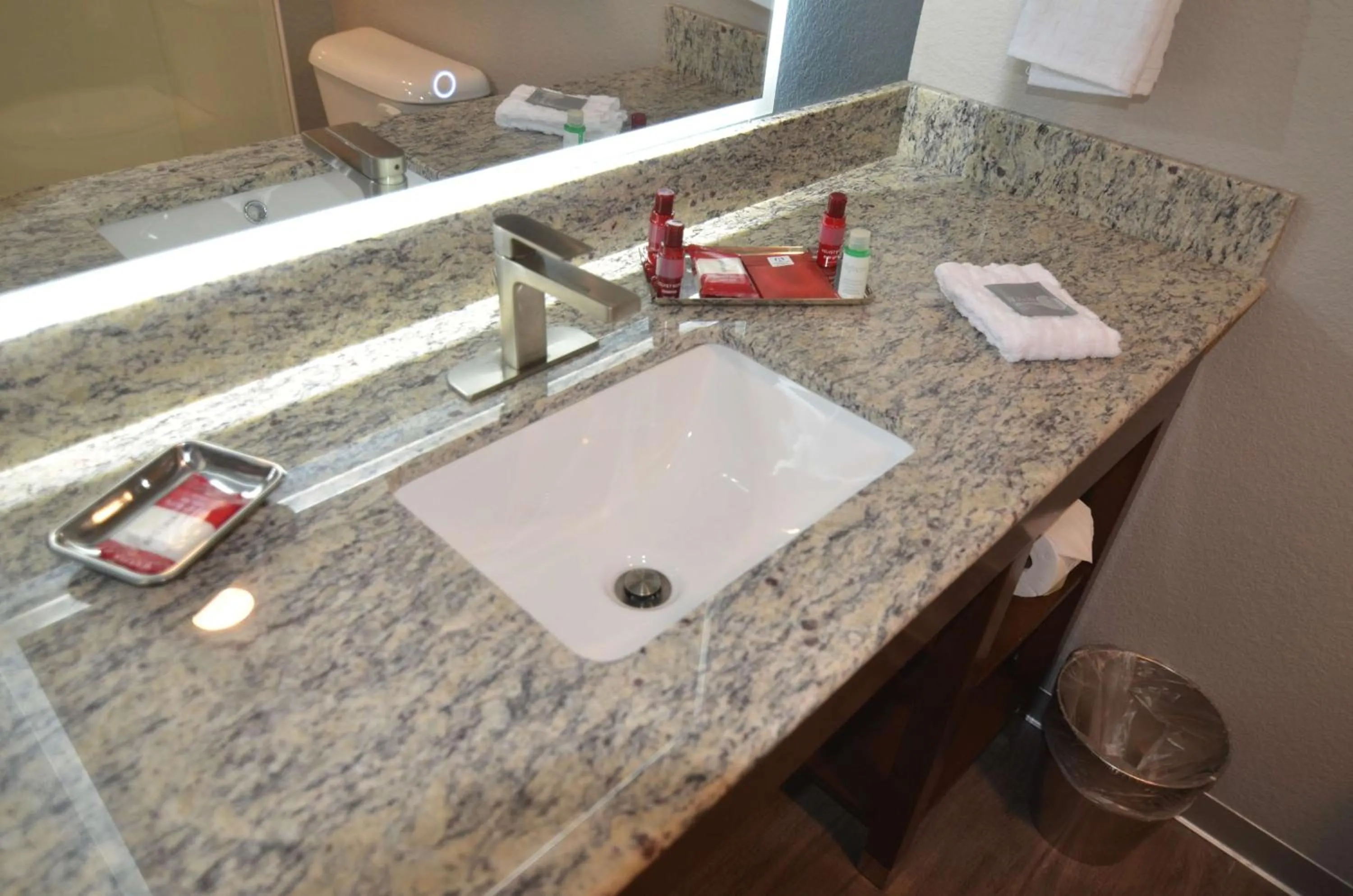 Bathroom in Best Western Premier Ankeny Hotel