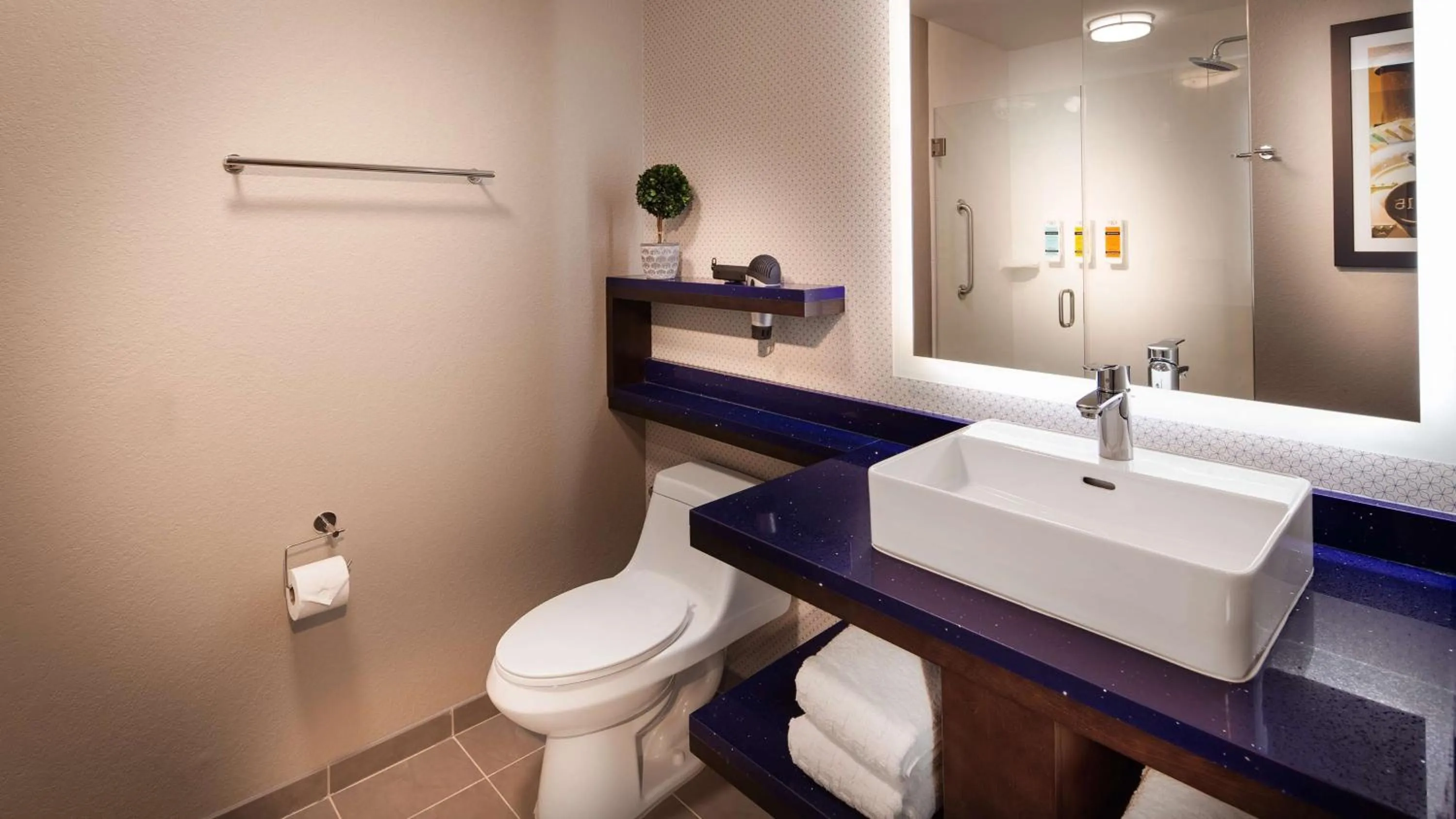 Bathroom in GLō Best Western Asheville Tunnel Road